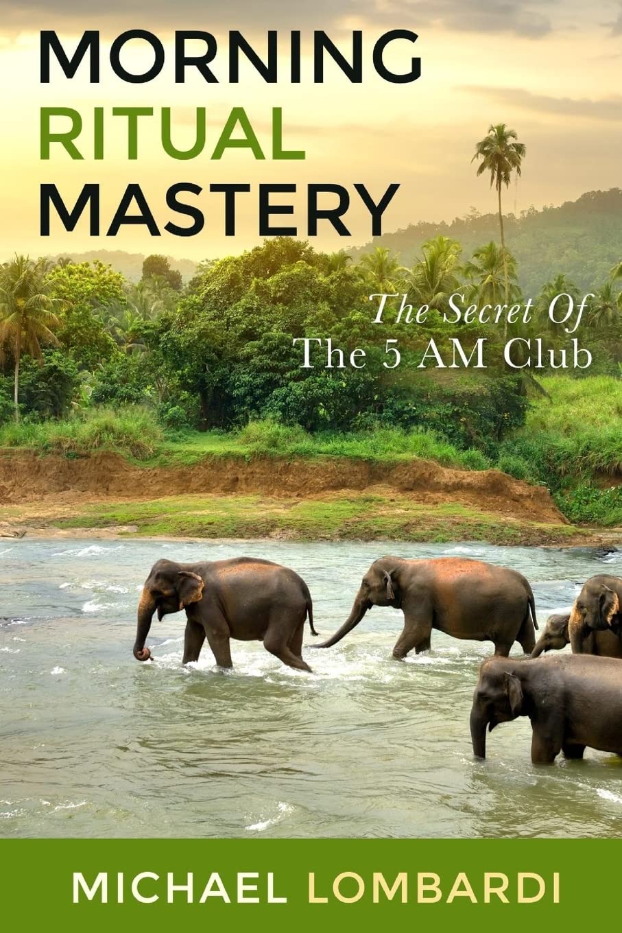 Morning Ritual Mastery: The Secret Of The 5 AM Club (Mindfulness, Meditation, Success) Business, Finance & Career