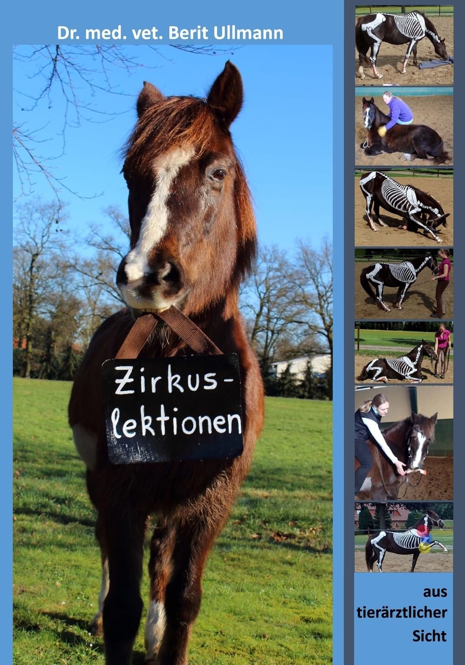 Zirkuslektionen: Zirkuslektionen aus tierärztlicher Sicht Pets
