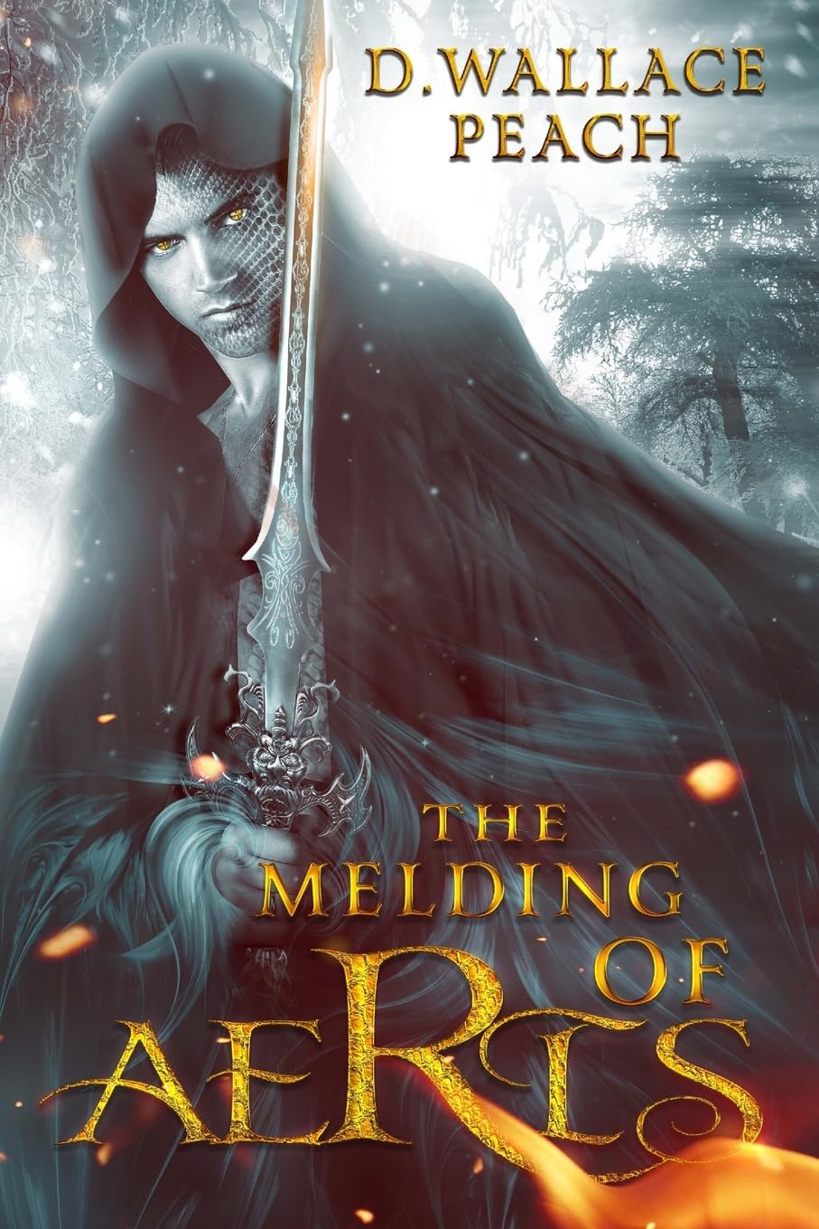 The Melding of Aeris Action & Adventure