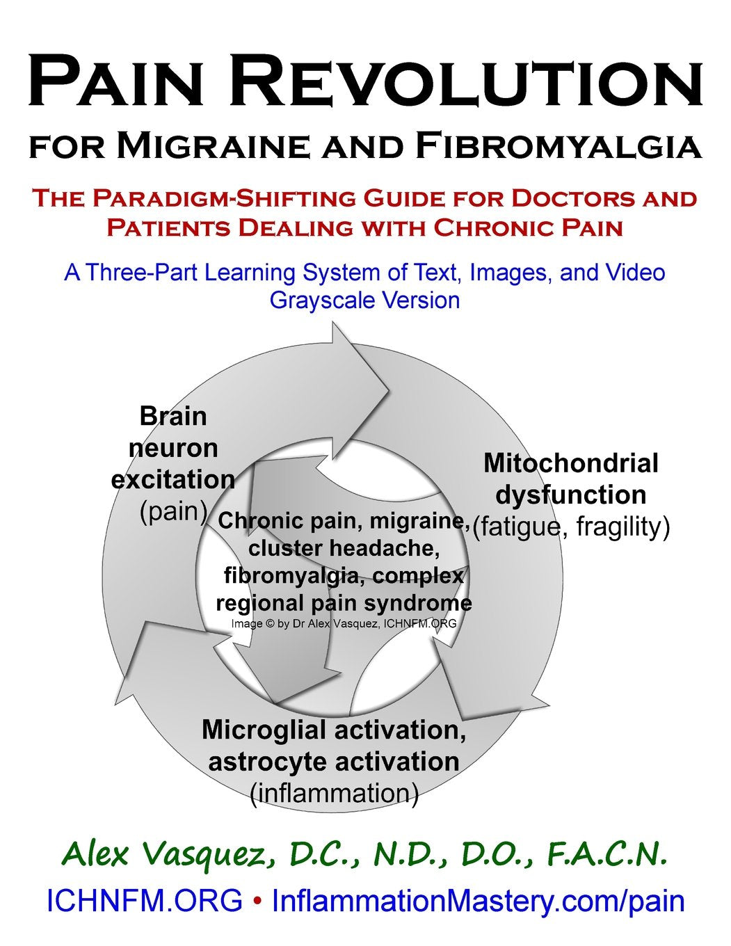 Pain Revolution for Migraine and Fibromyalgia (Discounted Printing): The Paradigm-Shifting Guide for Doctors and Patients Dealing with Chronic Pain (Inflammation Mastery & Functional Inflammology) Medicine