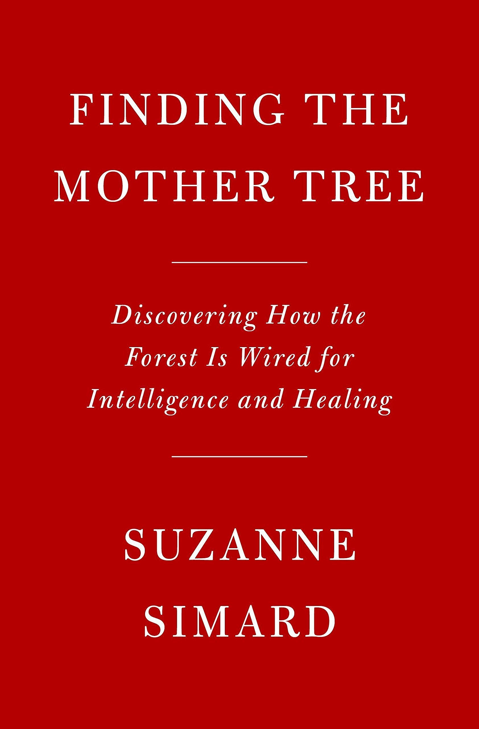 Finding the Mother Tree: Discovering the Wisdom of the Forest Art & Literature