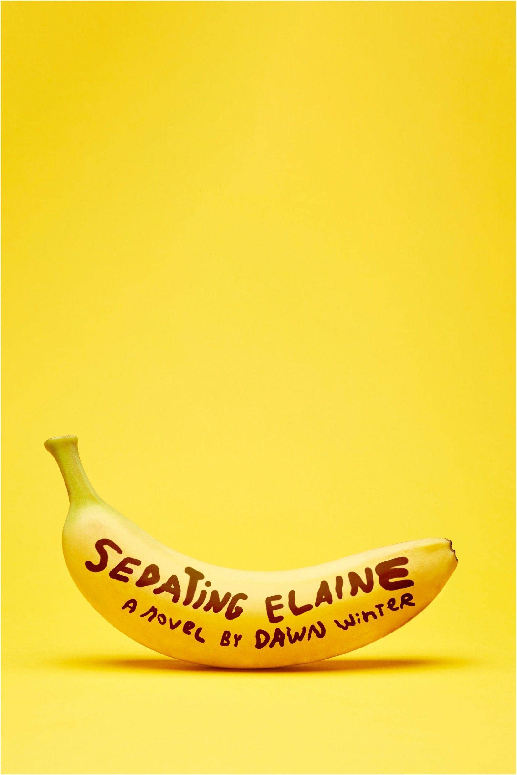 Sedating Elaine LGBTQ+ Books