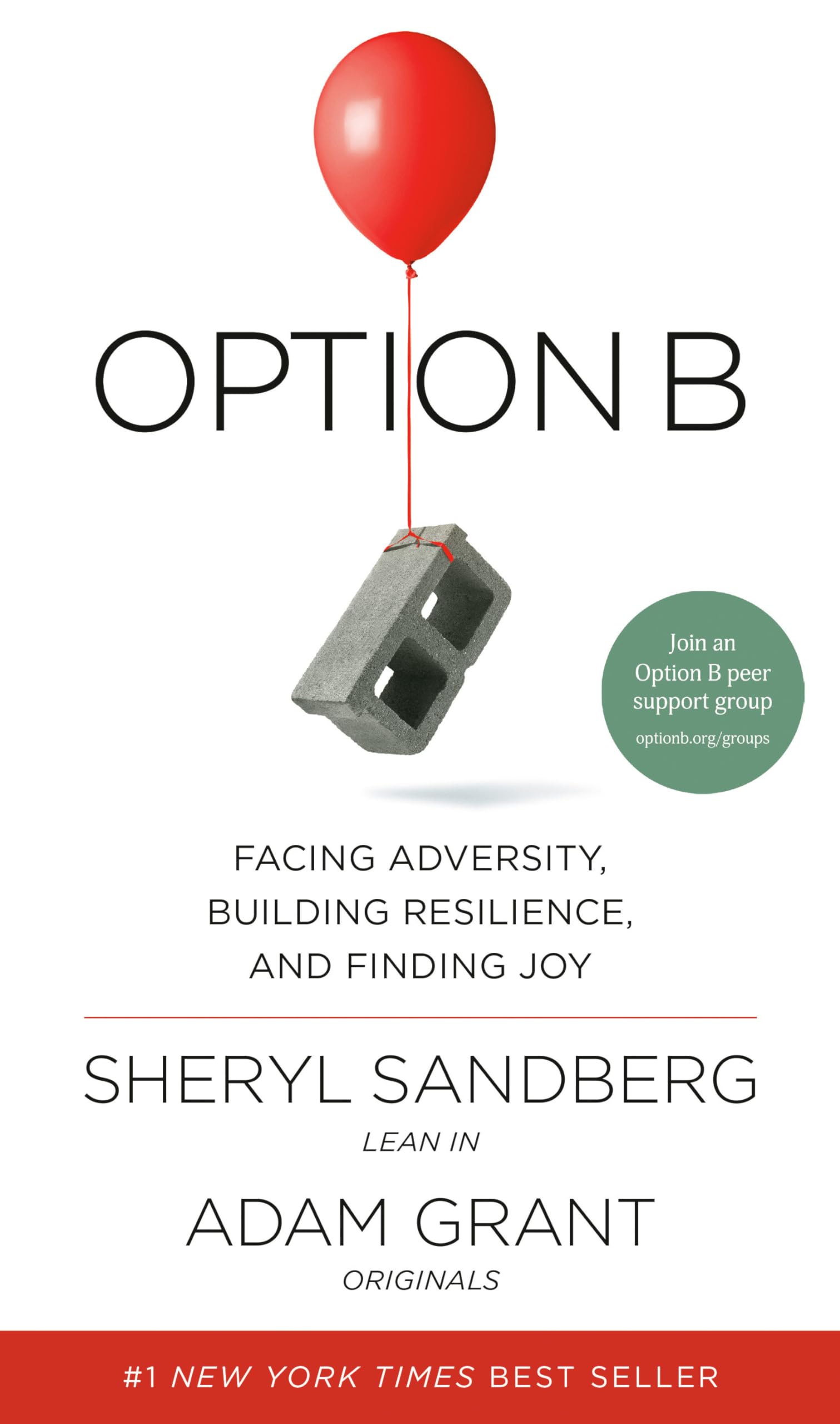 Option B Art & Literature Books