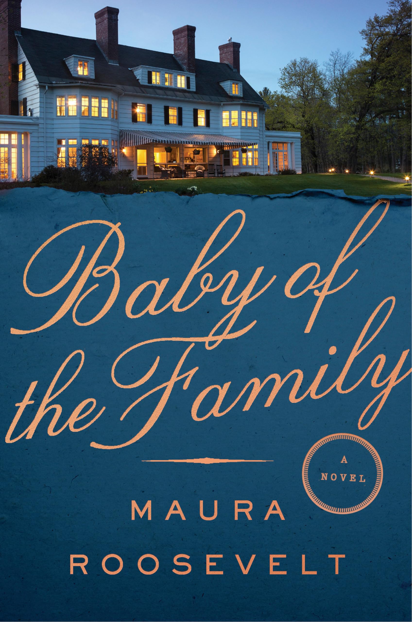 Baby of the Family: A Novel Contemporary literature
