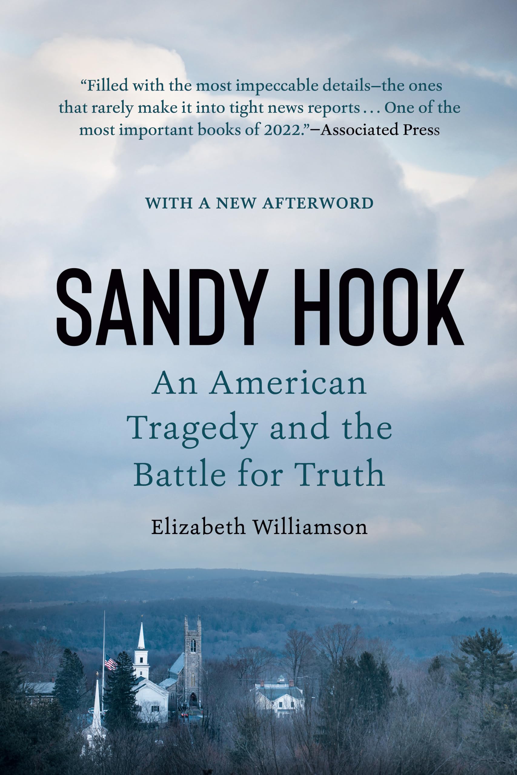 Sandy Hook: An American Tragedy and the Battle for Truth Books
