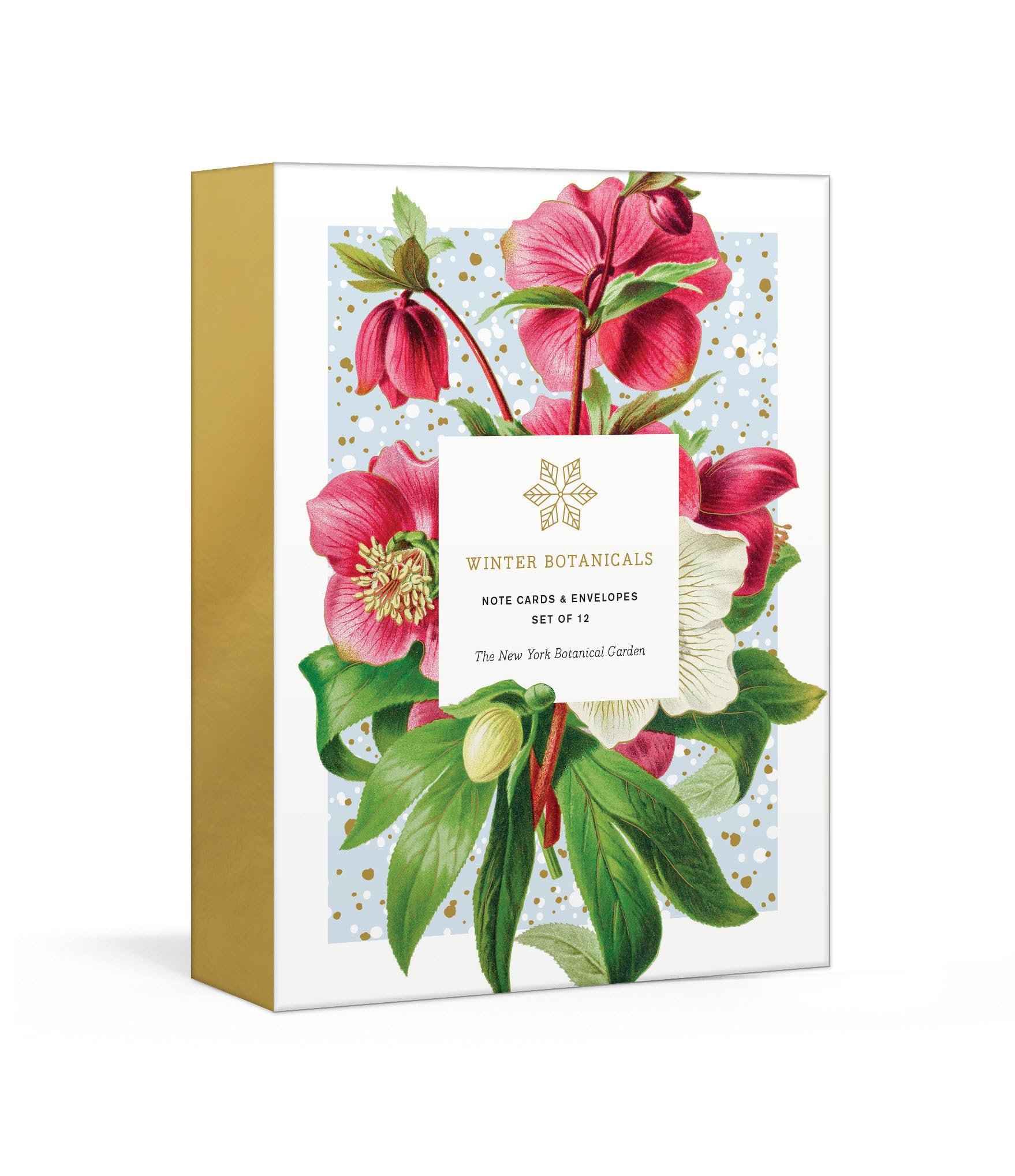 Winter Botanicals: Note Cards and Envelopes: Set of 12 (New York Botanical Garden) Media & Communication
