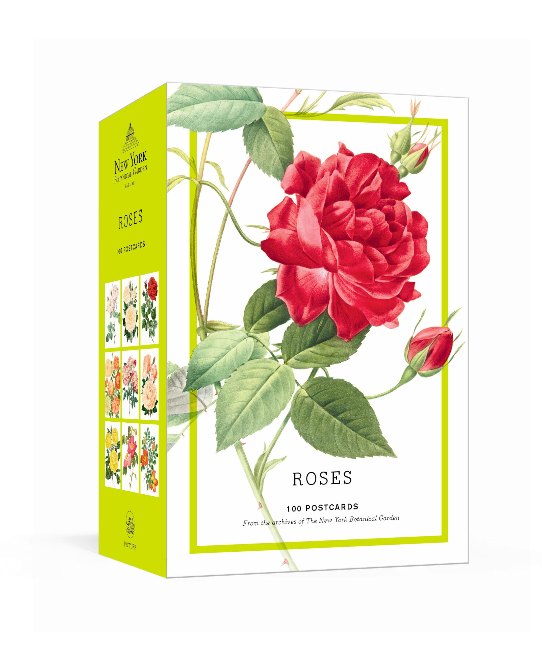 Roses: 100 Postcards from the Archives of The New York Botanical Garden Film, Art & Culture