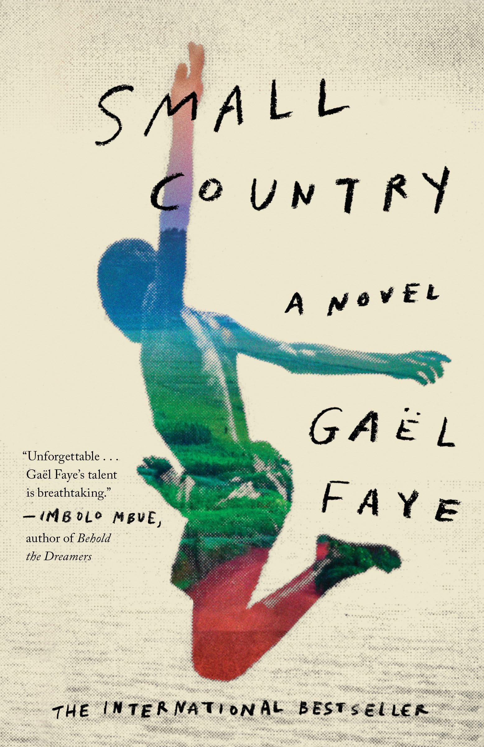 Small Country: Small Country: A Novel Contemporary literature
