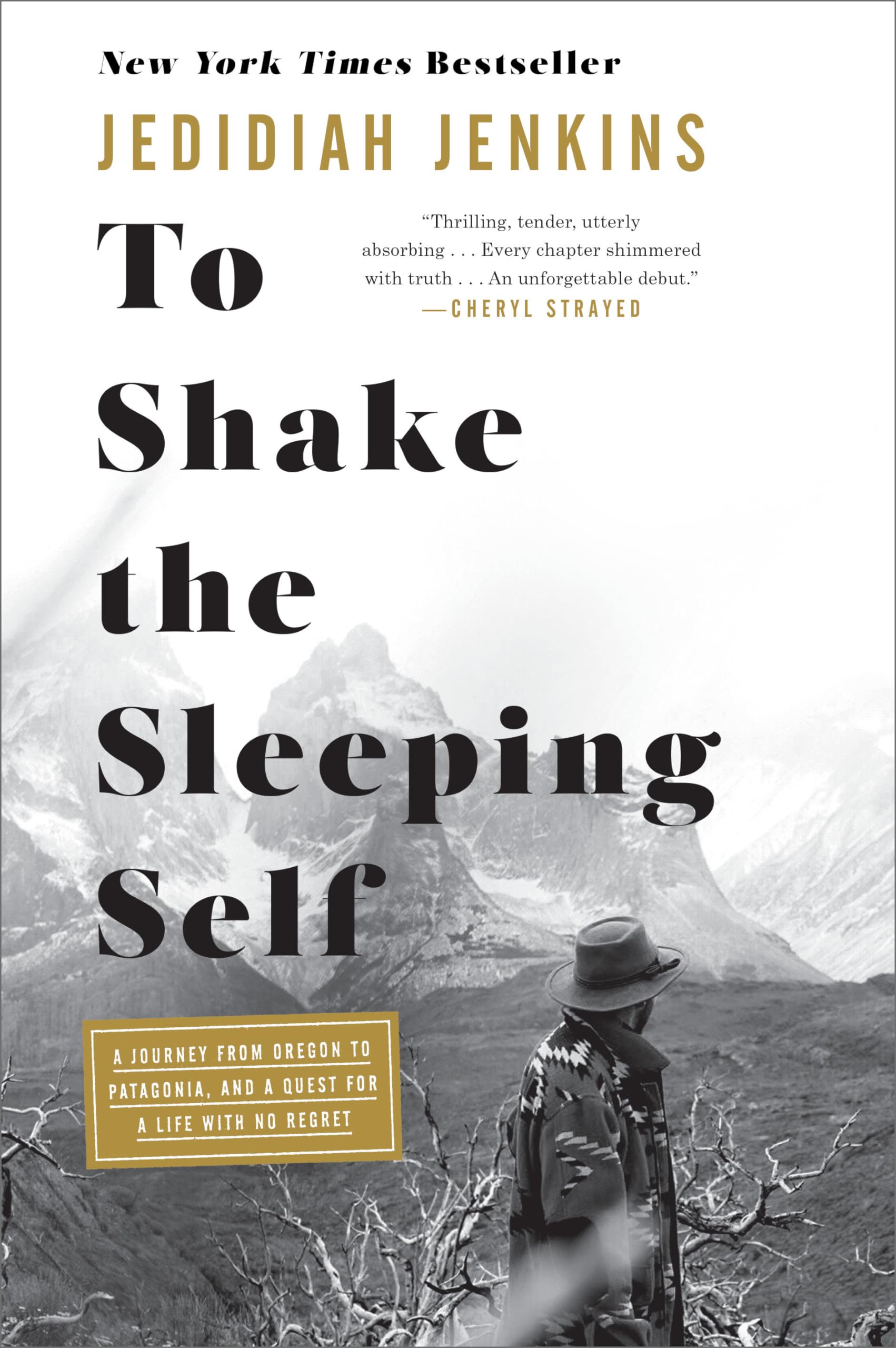 To Shake the Sleeping Self: A Journey from Oregon to Patagonia, and a Quest for a Life with No Regret Pop culture