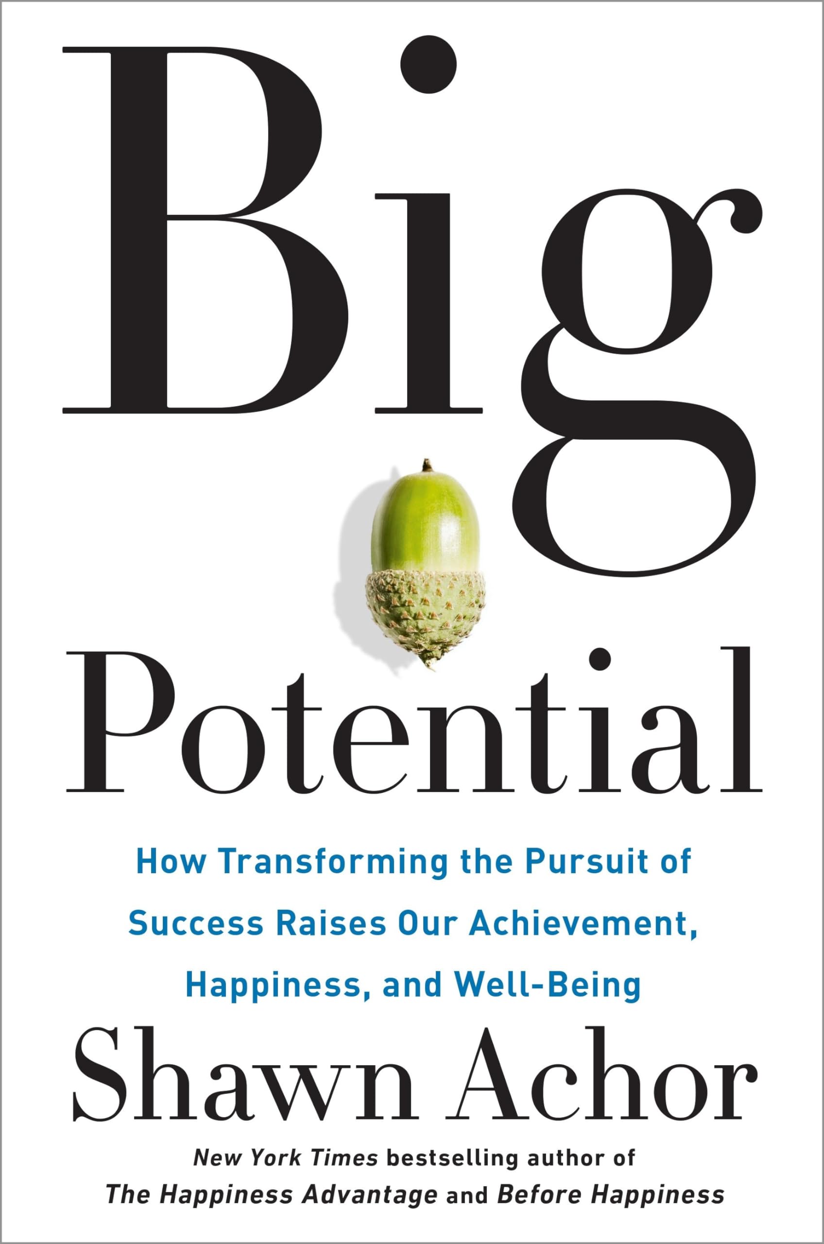 Big Potential: How Transforming the Pursuit of Success Raises Our Achievement, Happiness, and Well-Being book