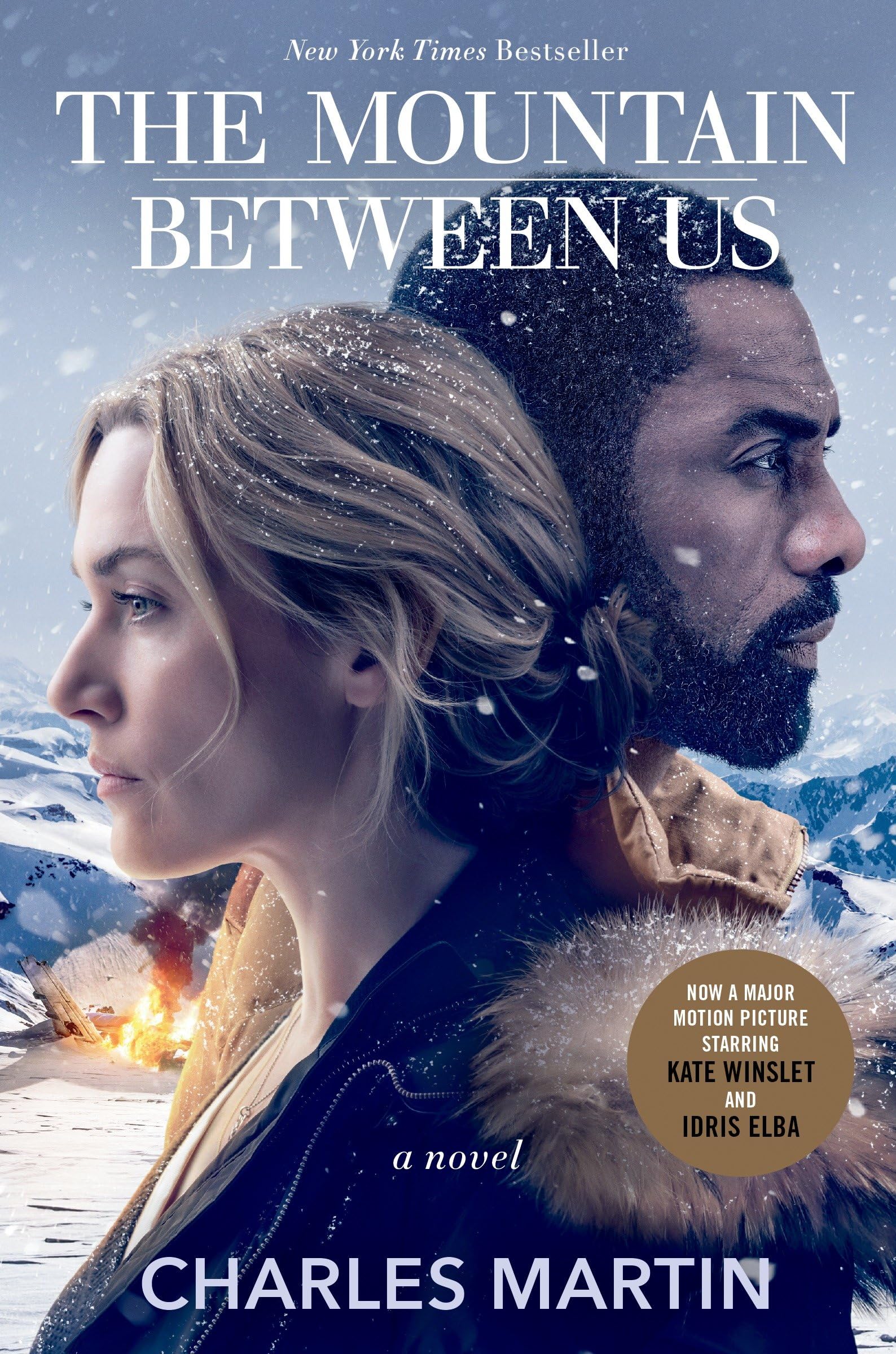 The Mountain Between Us (Movie Tie-In): A Novel Action & Adventure