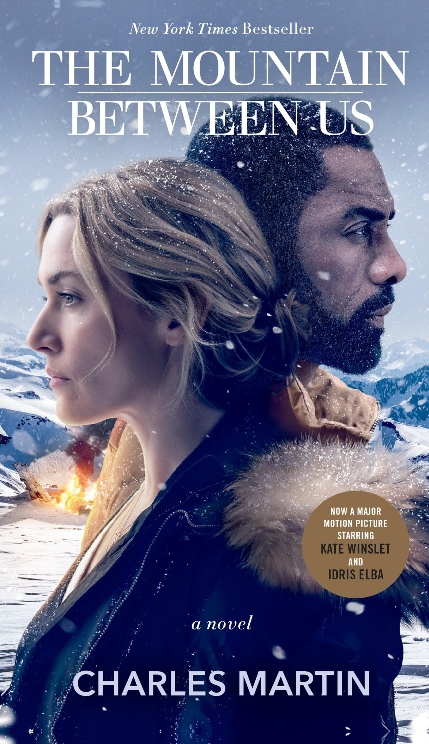 The Mountain Between Us (Movie Tie-In): A Novel Action & Adventure