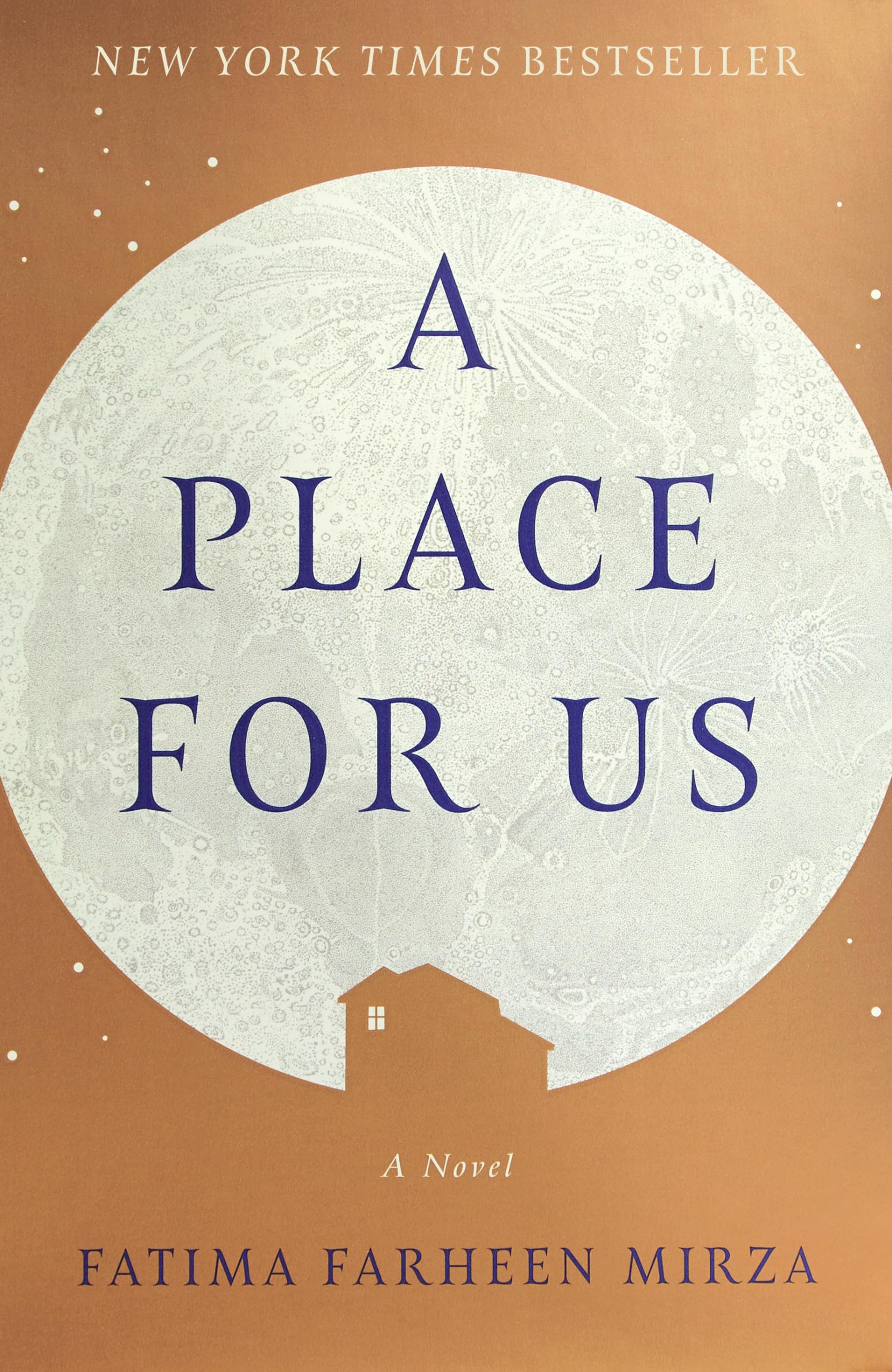 A Place for Us: A Novel Poetry