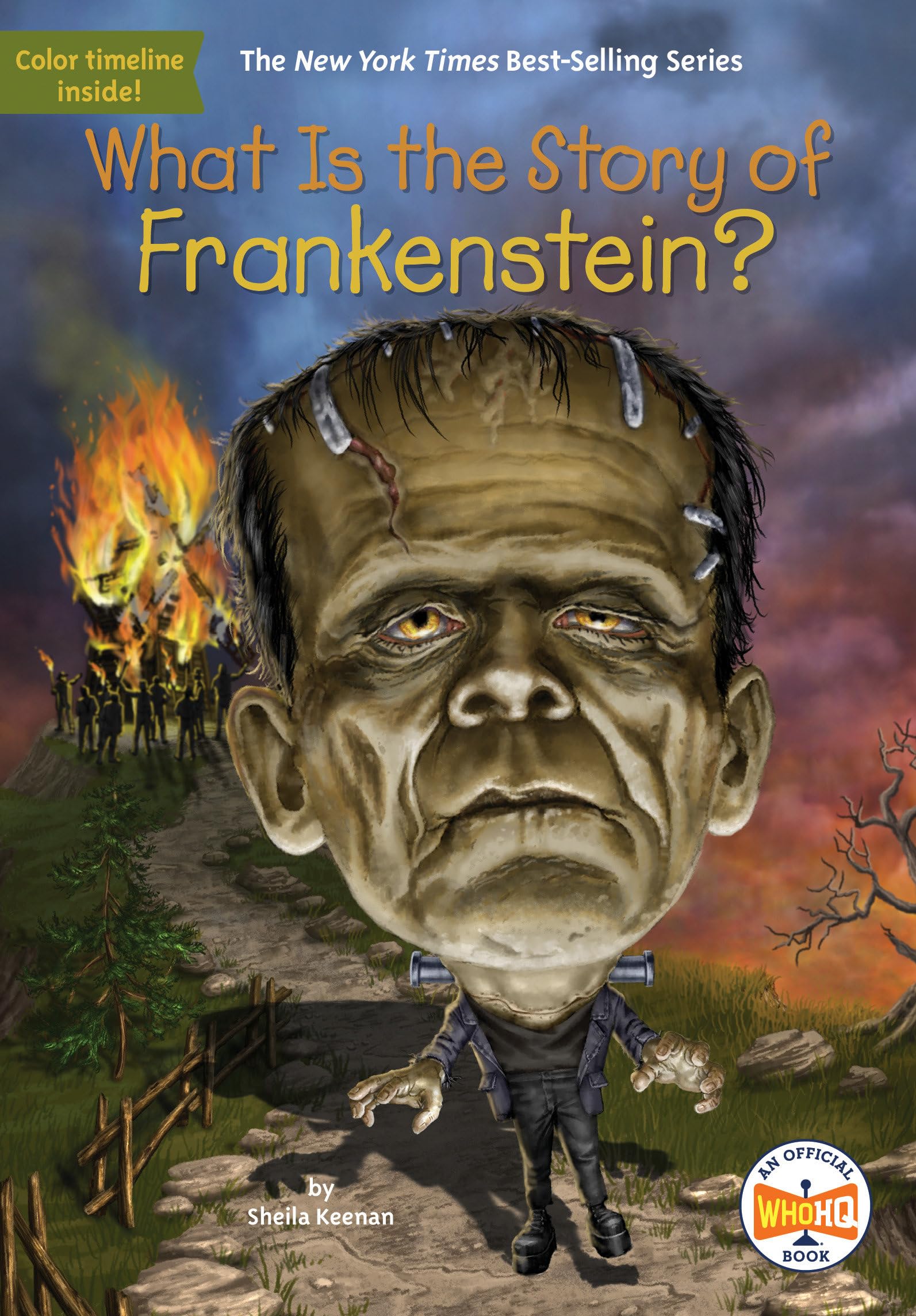 What Is the Story of Frankenstein? Non-fiction