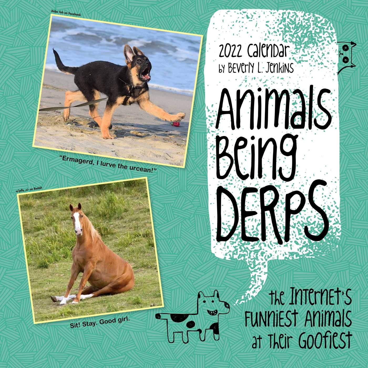 Animals Being Derps 2022 Wall Calendar Mathematics
