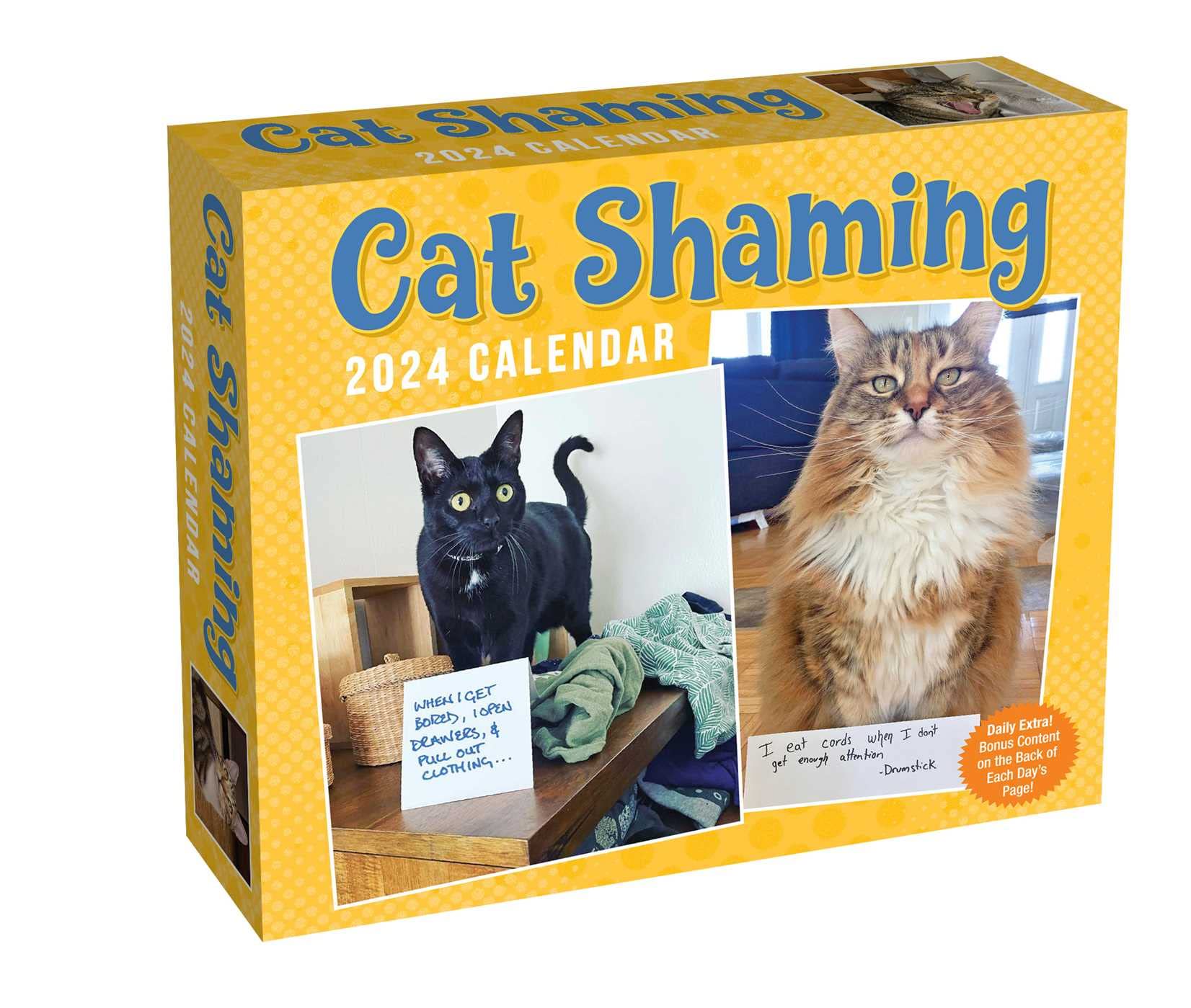 Cat Shaming 2024 Day-to-Day Calendar Computer Science