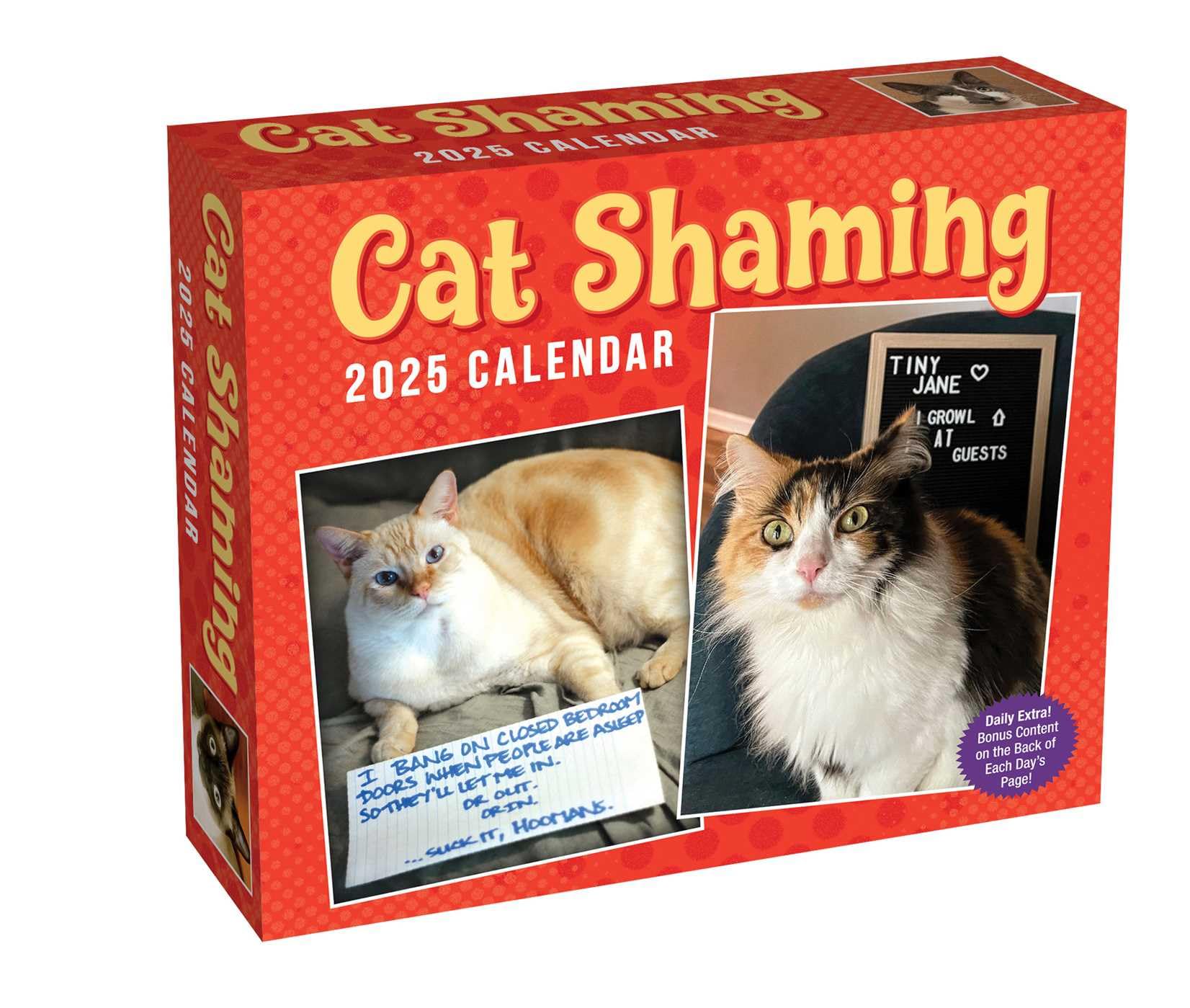 Cat Shaming 2025 Day-to-Day Calendar Film, Art & Culture