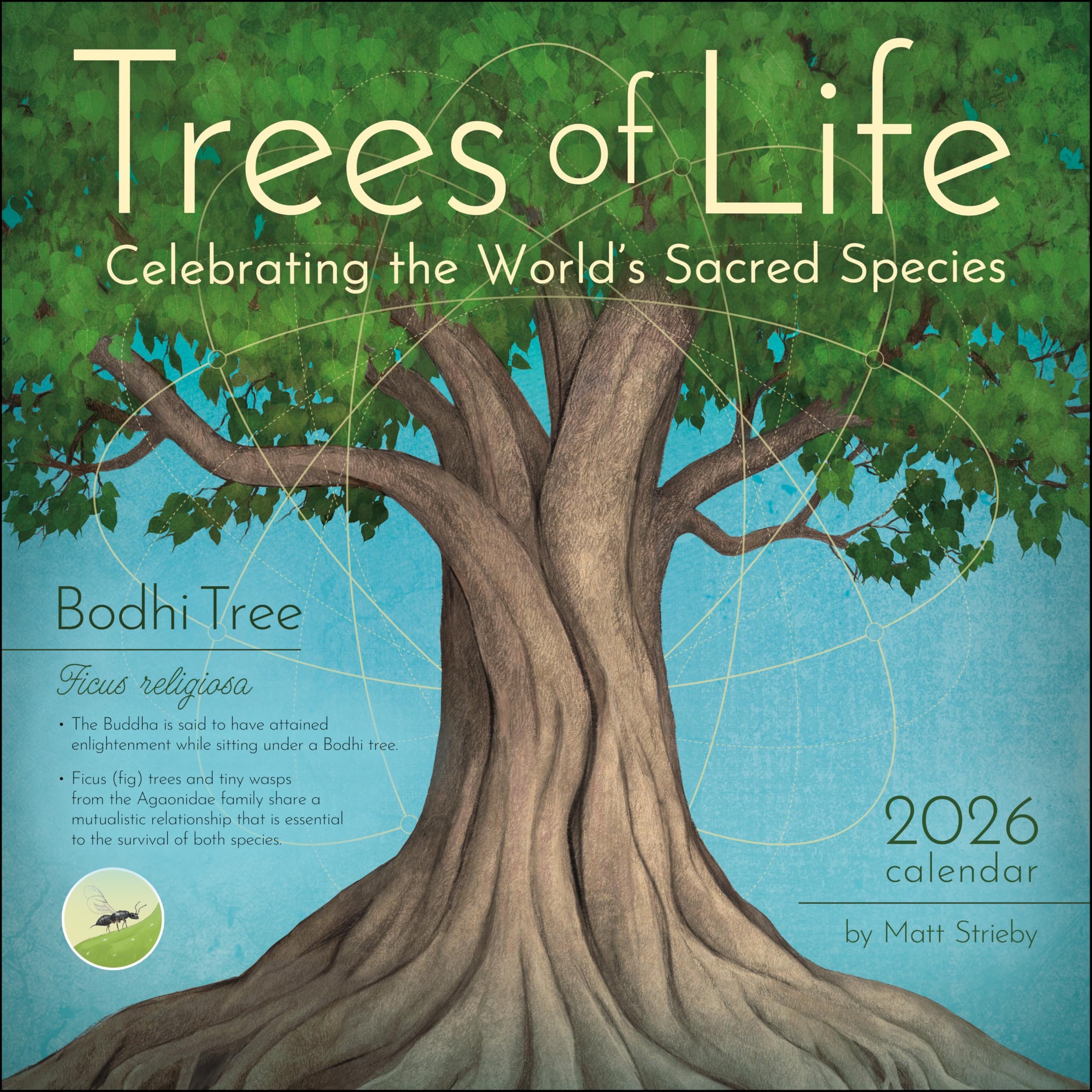 Trees of Life 2026 Wall Calendar: Celebrating the World's Sacred Species Mathematics