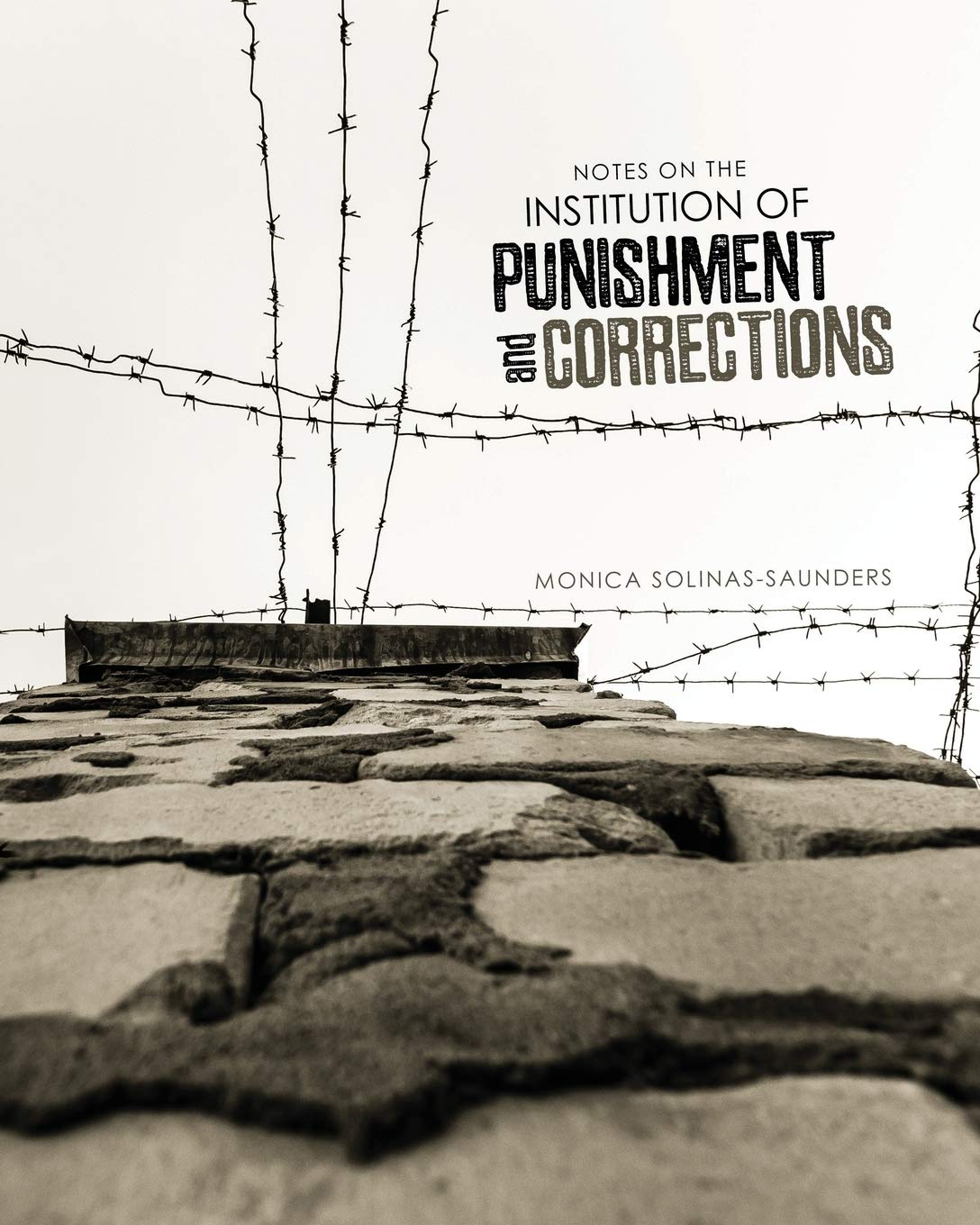 Notes on the Institution of Punishment and Corrections Law