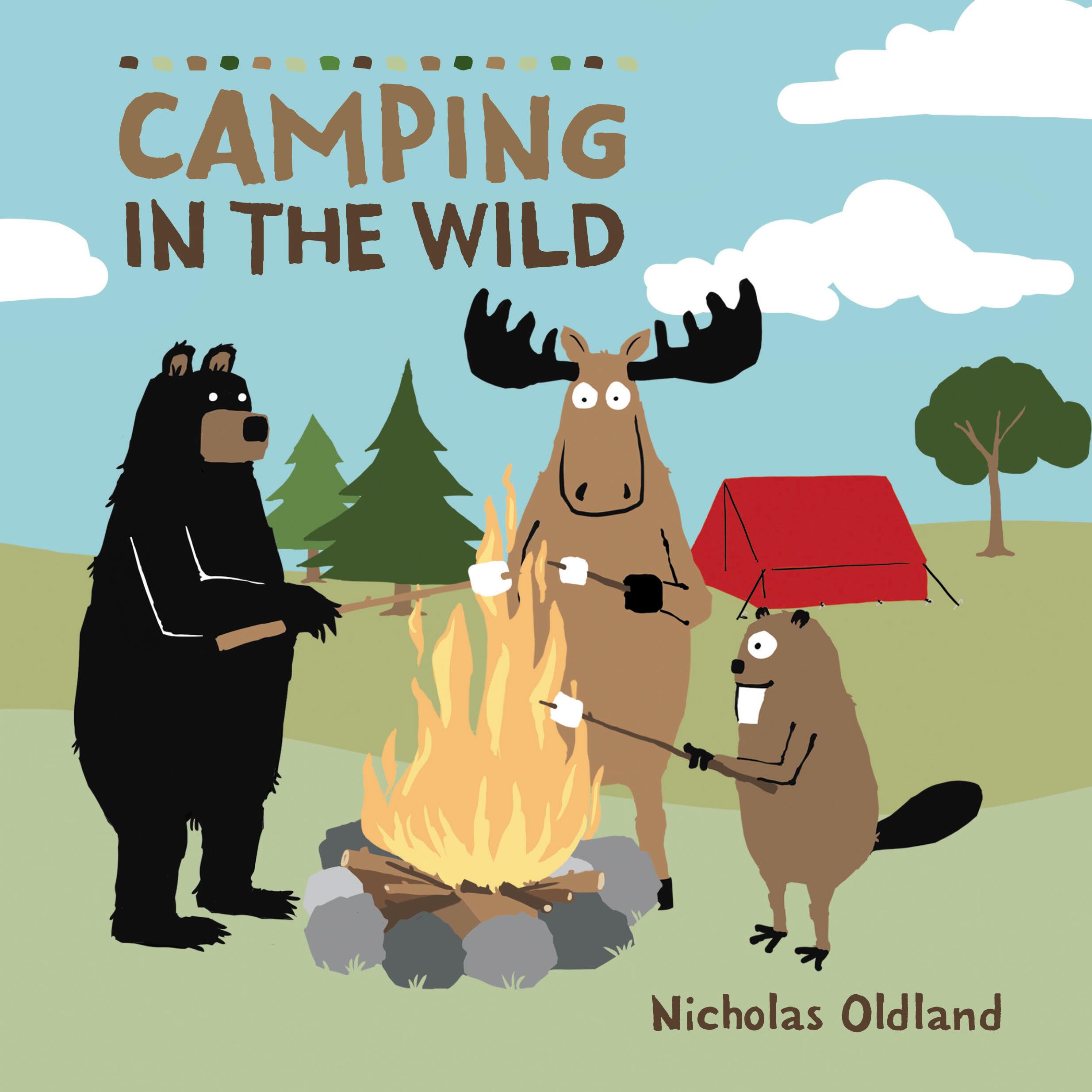 Camping in the Wild: Volume 8 (Life in the Wild, 8) Leisure & Fun