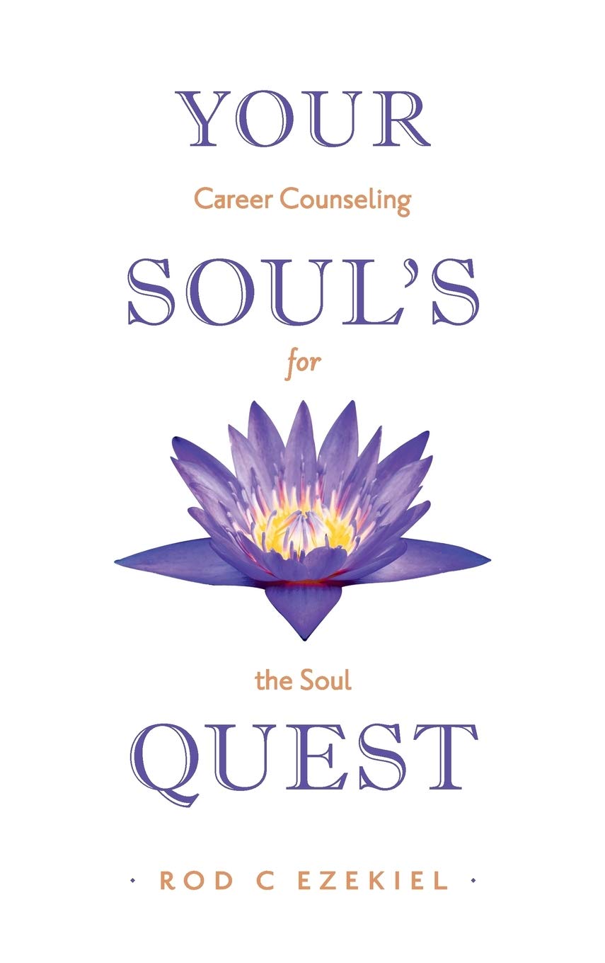 Your Soul's Quest: Career Counselling for the Soul Business, Finance & Career