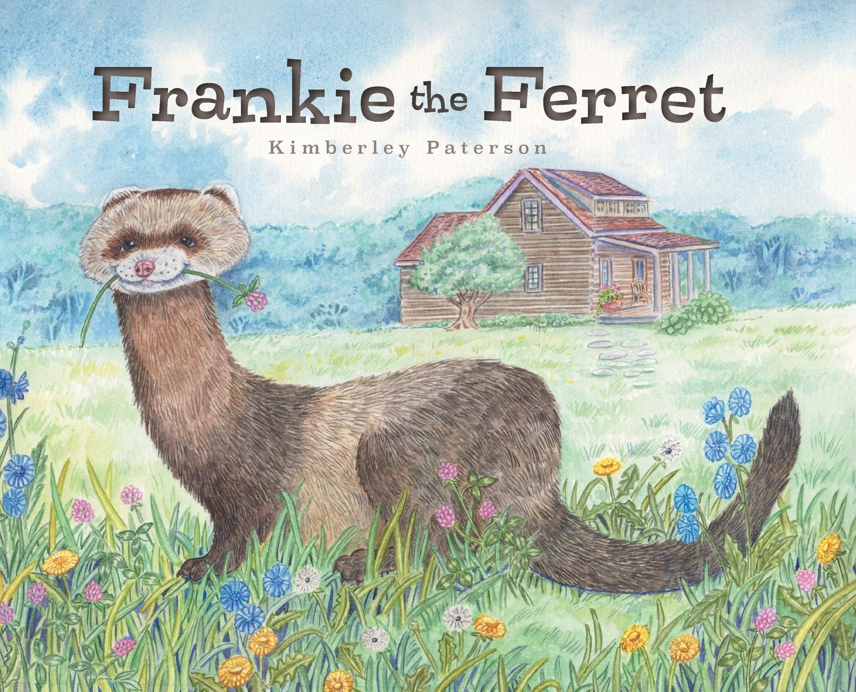 Frankie the Ferret Non-fiction