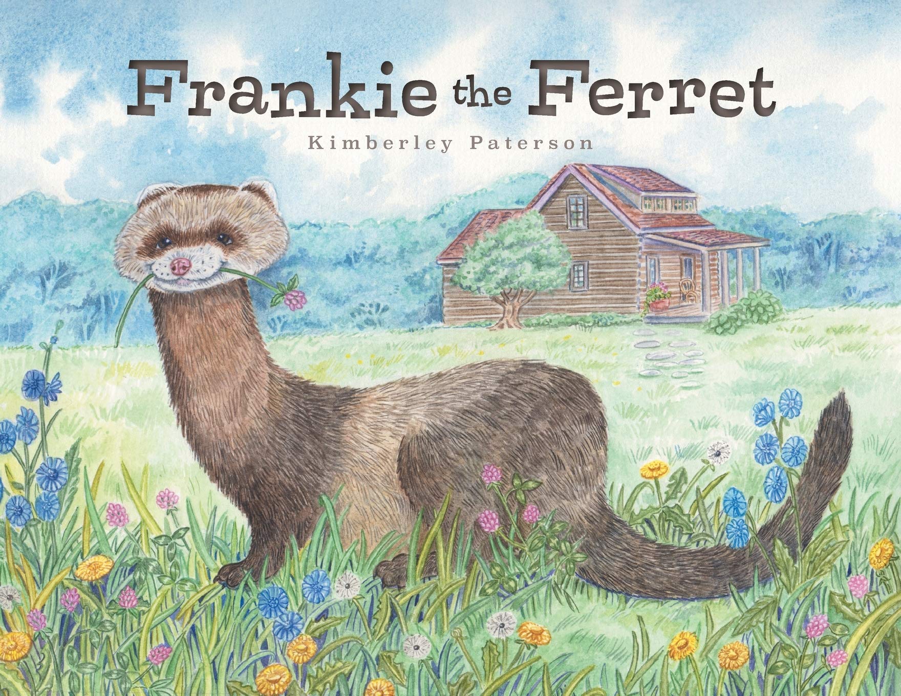 Frankie the Ferret Non-fiction