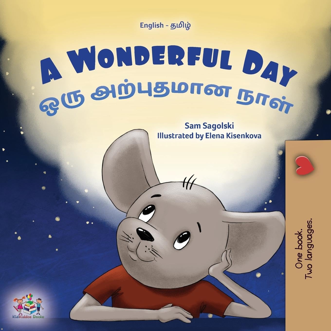 A Wonderful Day (English Tamil Bilingual Children's Book) Foreign Languages ​​& Dictionaries
