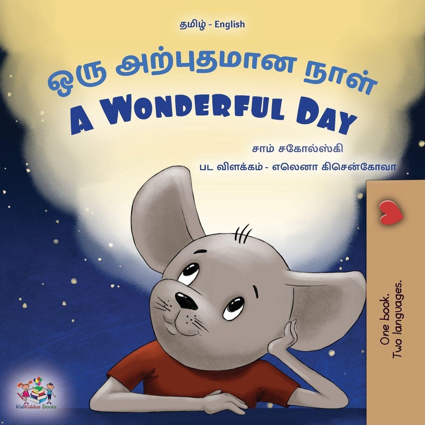 A Wonderful Day (Tamil English Bilingual Children's Book) Foreign Languages ​​& Dictionaries