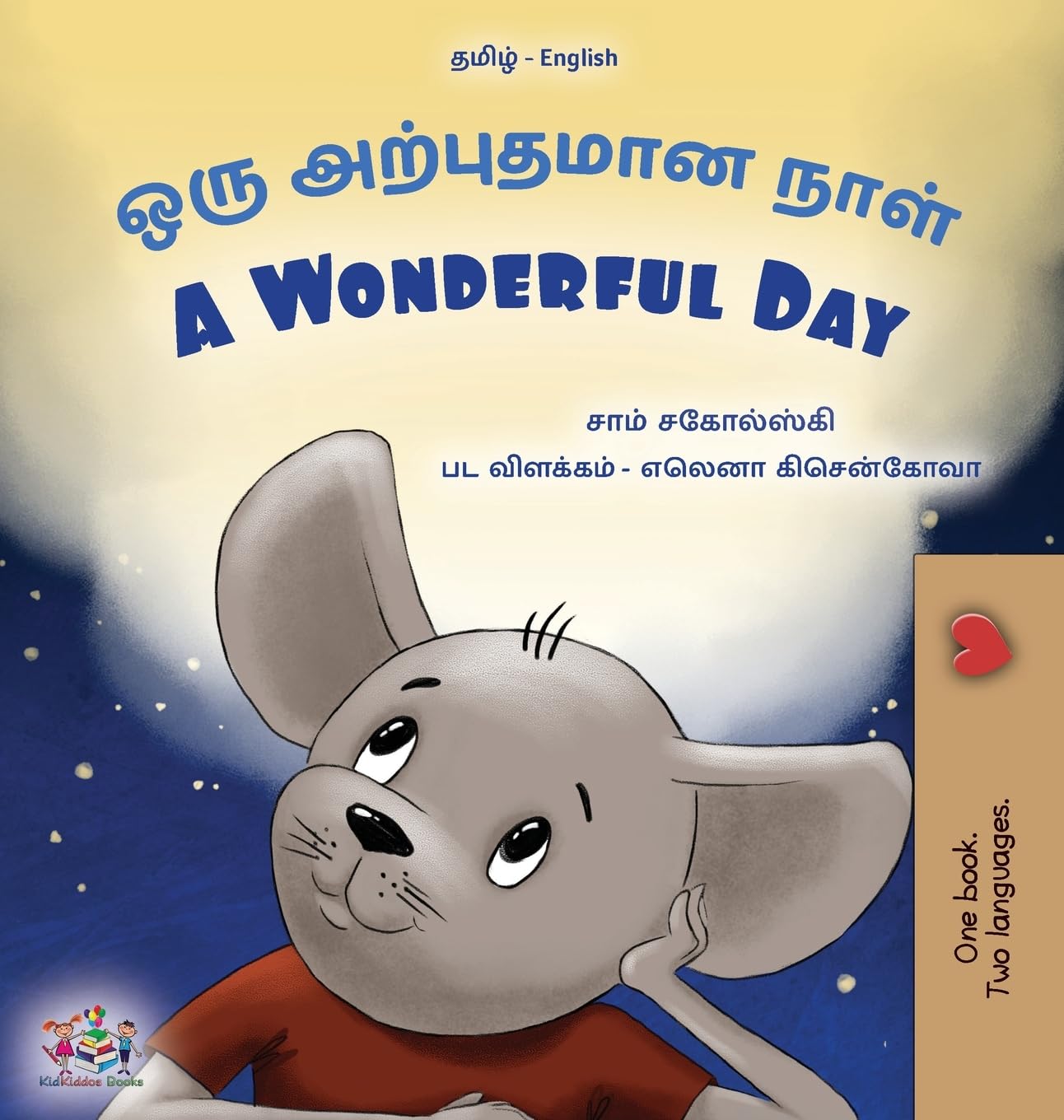 A Wonderful Day (Tamil English Bilingual Children's Book) Foreign Languages ​​& Dictionaries