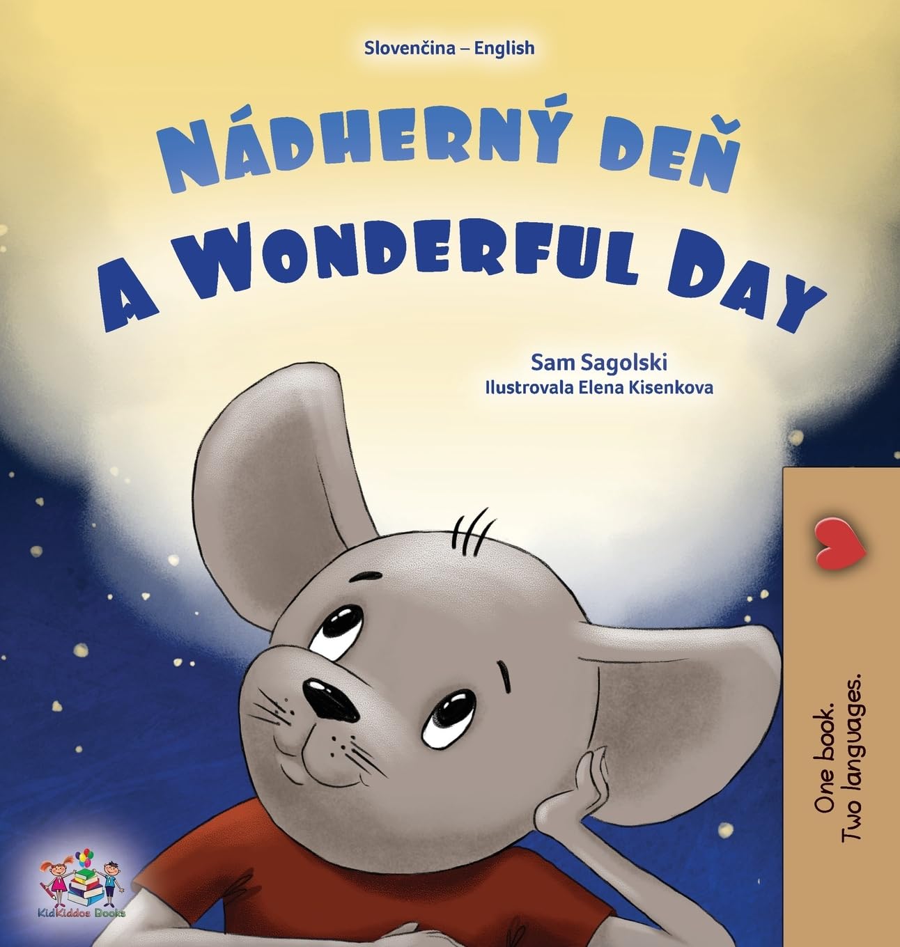 A Wonderful Day (Slovak English Bilingual Children's Book) Foreign Languages ​​& Dictionaries