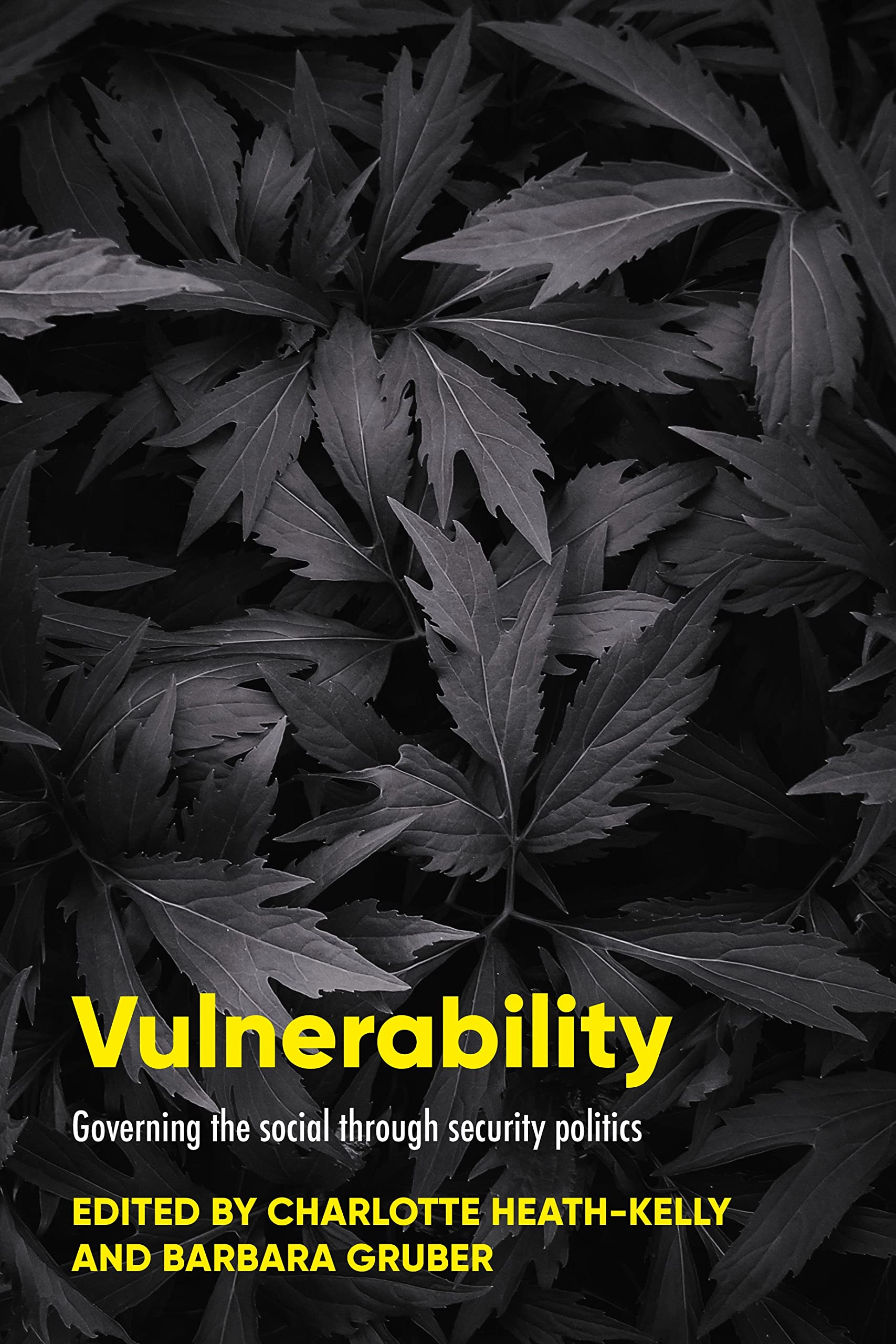 Vulnerability: Governing the social through security politics Law