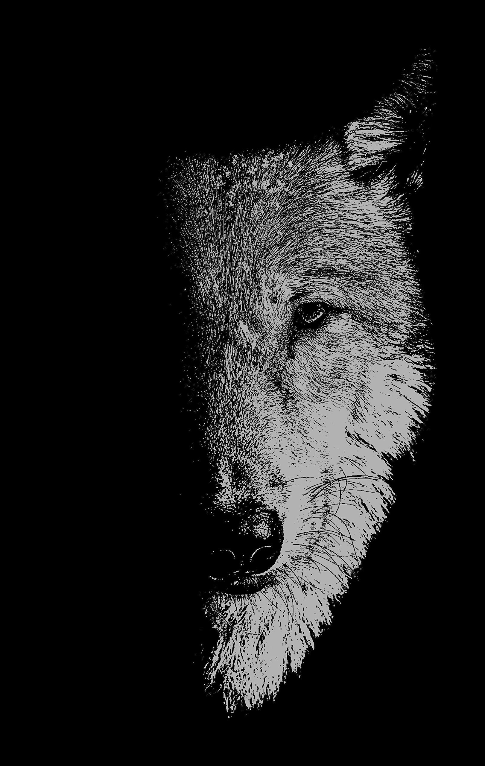 In the Company of Wolves: Werewolves, Wolves and Wild Children book
