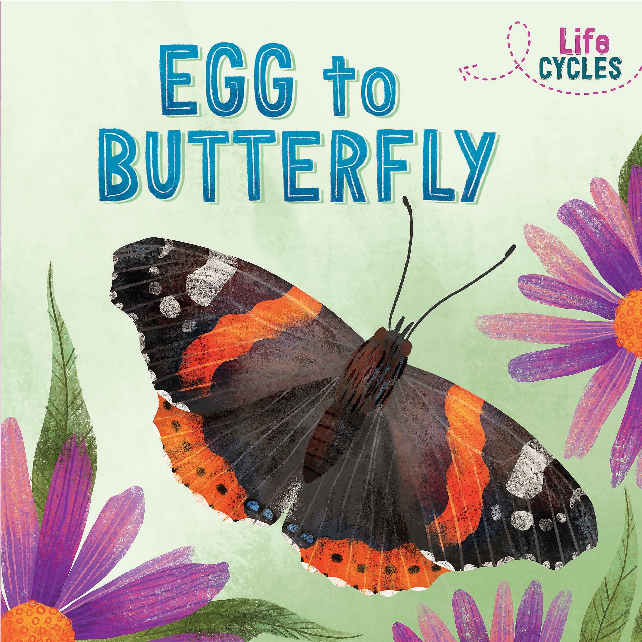 Egg to Butterfly (Life Cycles) Study Guides