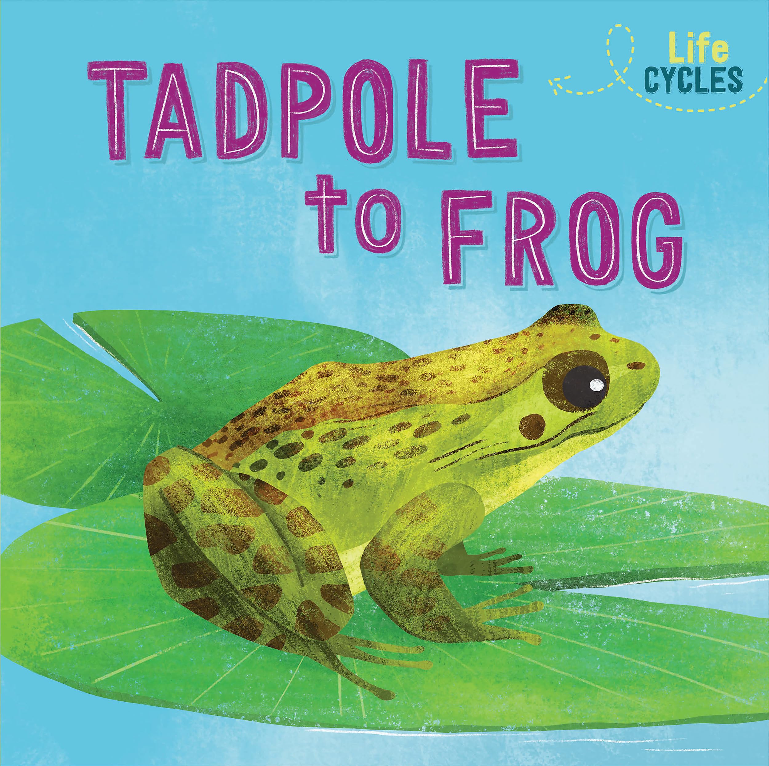 From Tadpole to Frog (Life Cycles) Study Guides
