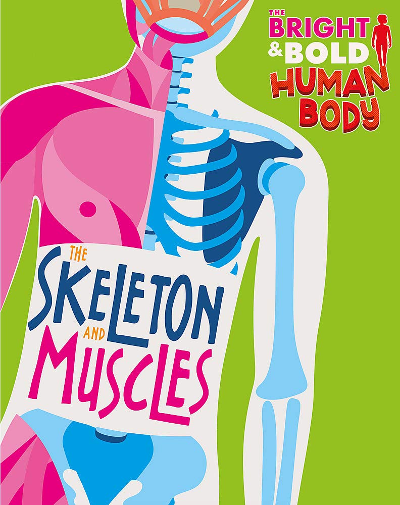 The Bright and Bold Human Body: The Skeleton and Muscles Non-fiction