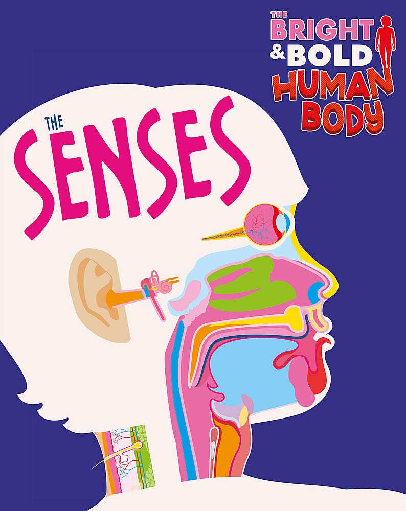 The Bright and Bold Human Body: The Senses Non-fiction