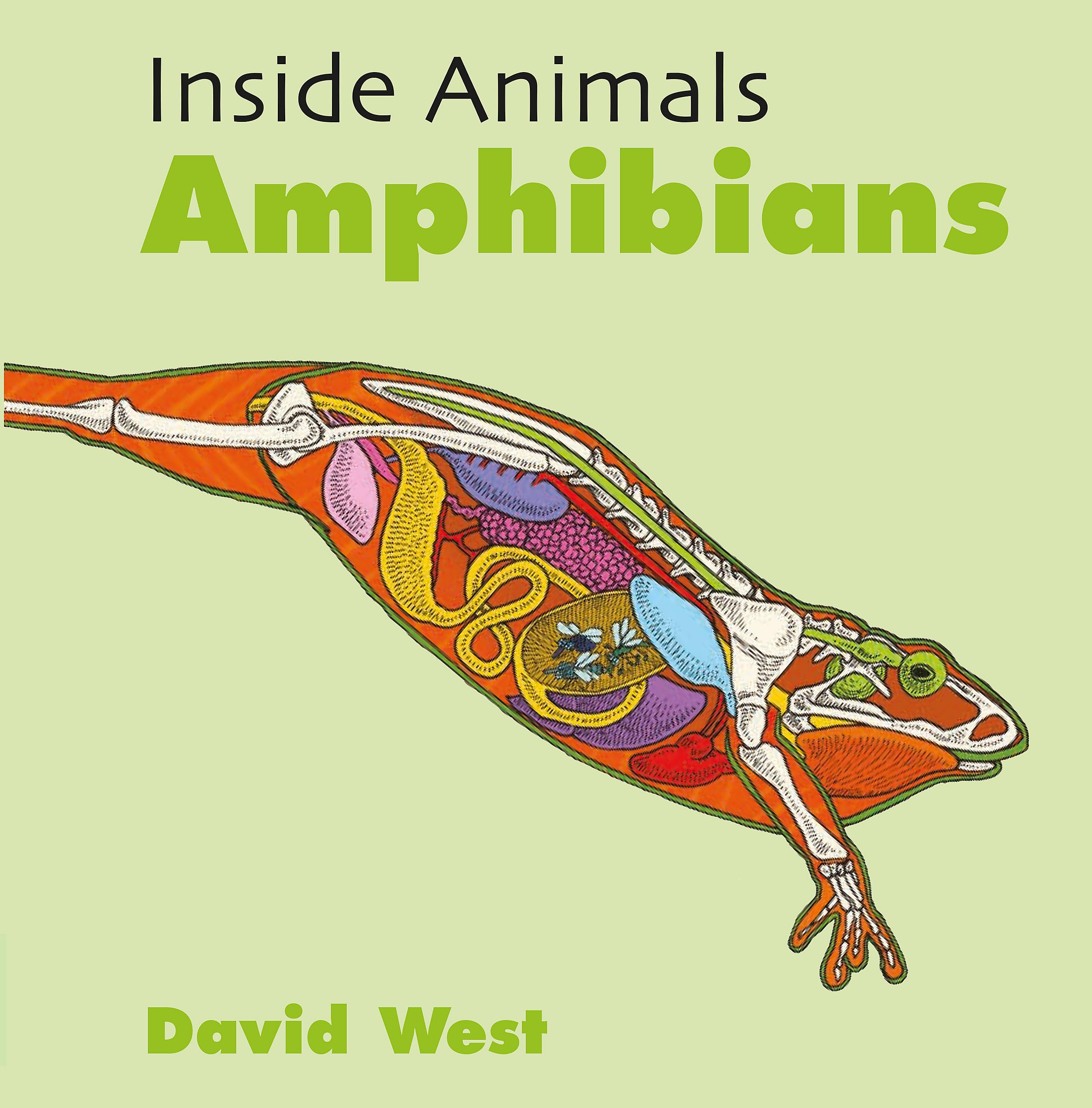 Inside Animals: Amphibians Non-fiction