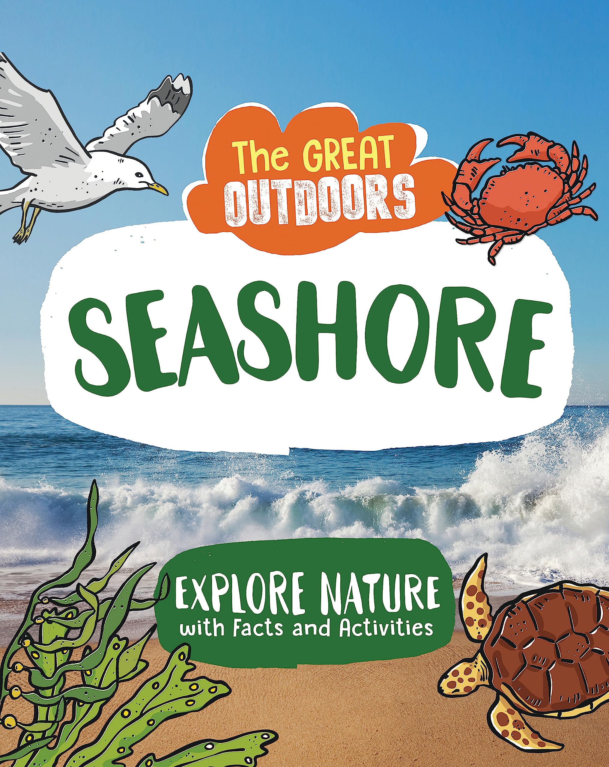 The Seashore: Uncover the science and wildlife on the beach Non-fiction