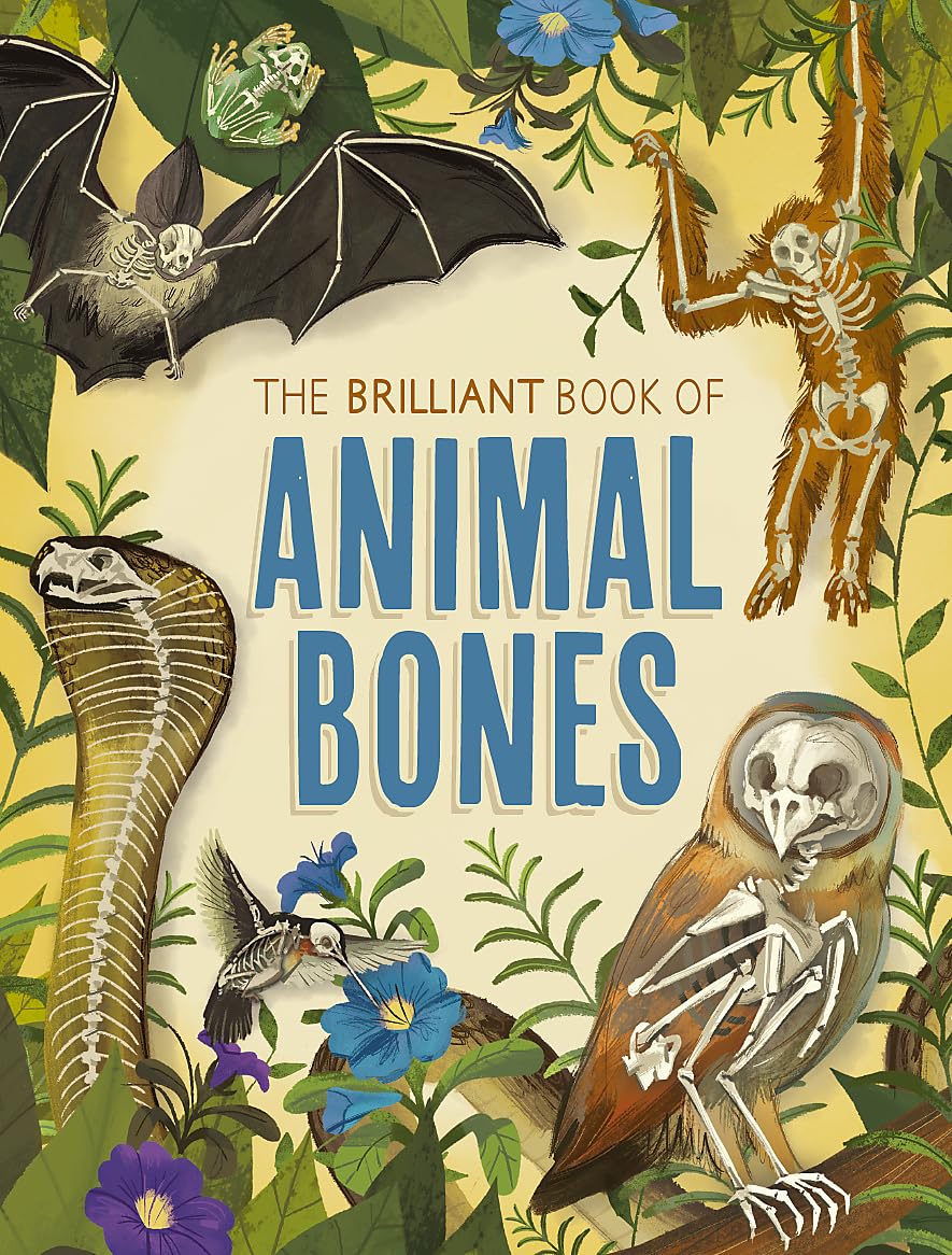 The Brilliant Book of Animal Bones Natural Sciences
