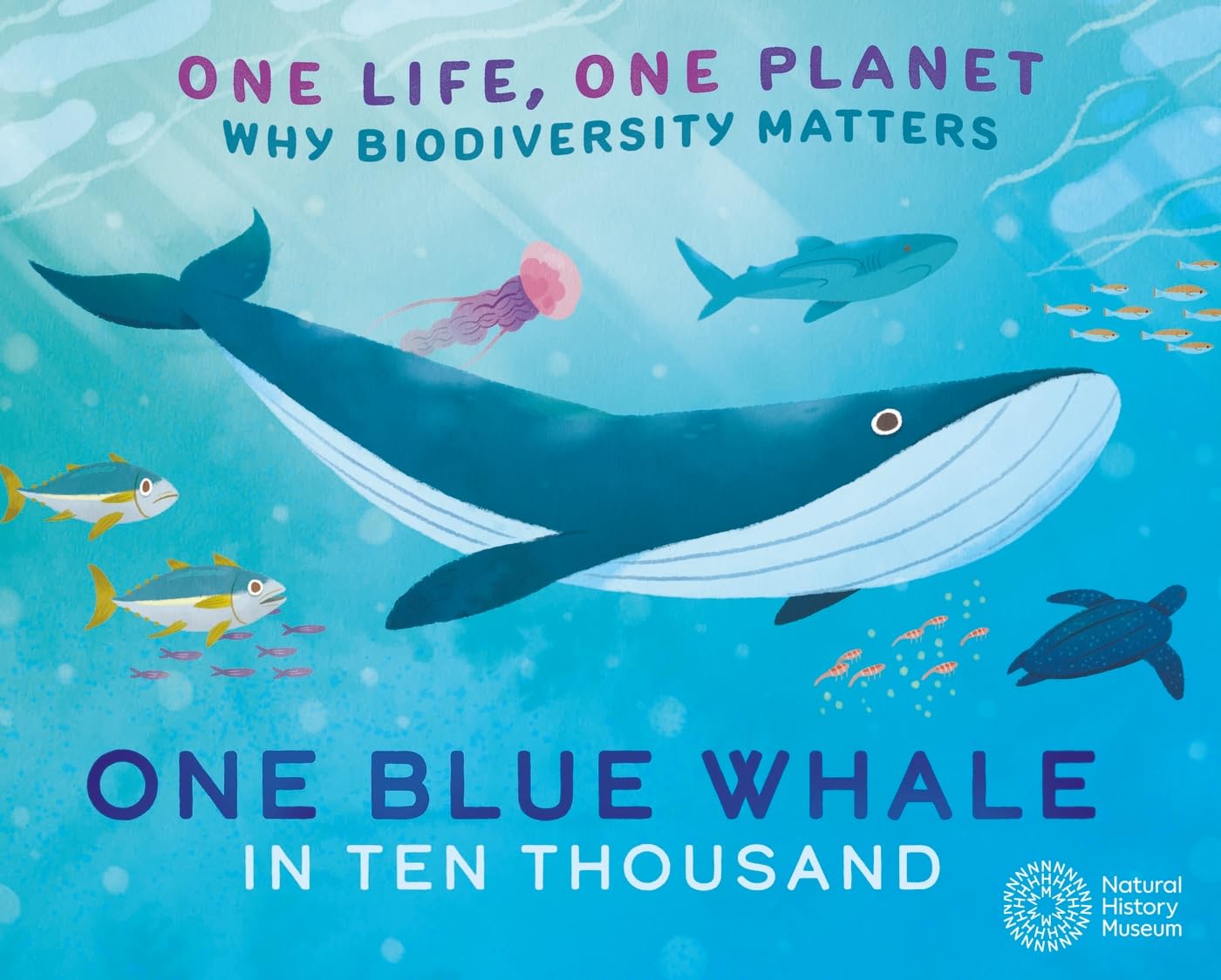 One Life, One Planet: One Blue Whale in Ten Thousand: Why Biodiversity Matters Natural Sciences