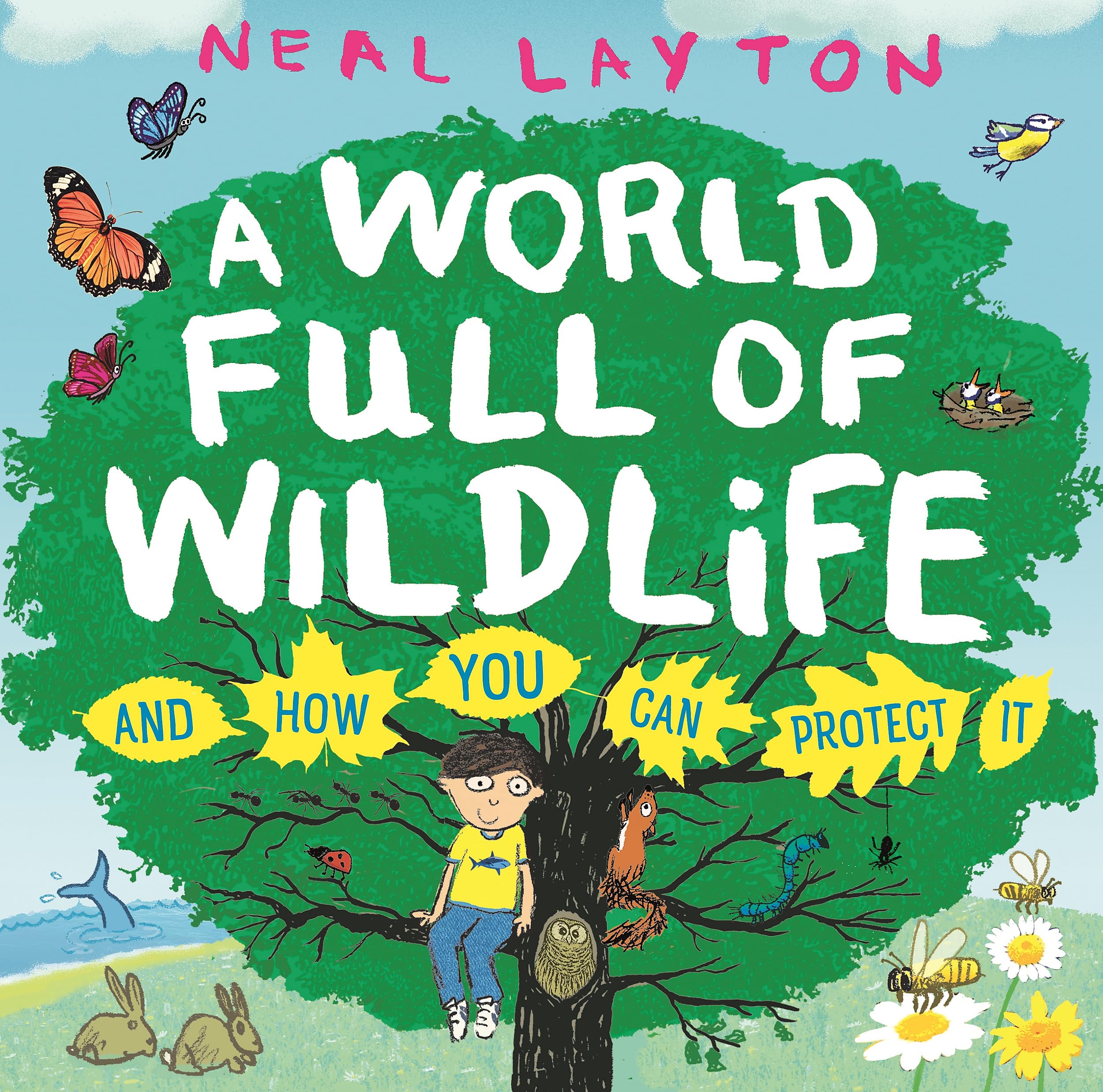 A World Full of Wildlife: and how you can protect it (Eco Explorers) Natural Sciences