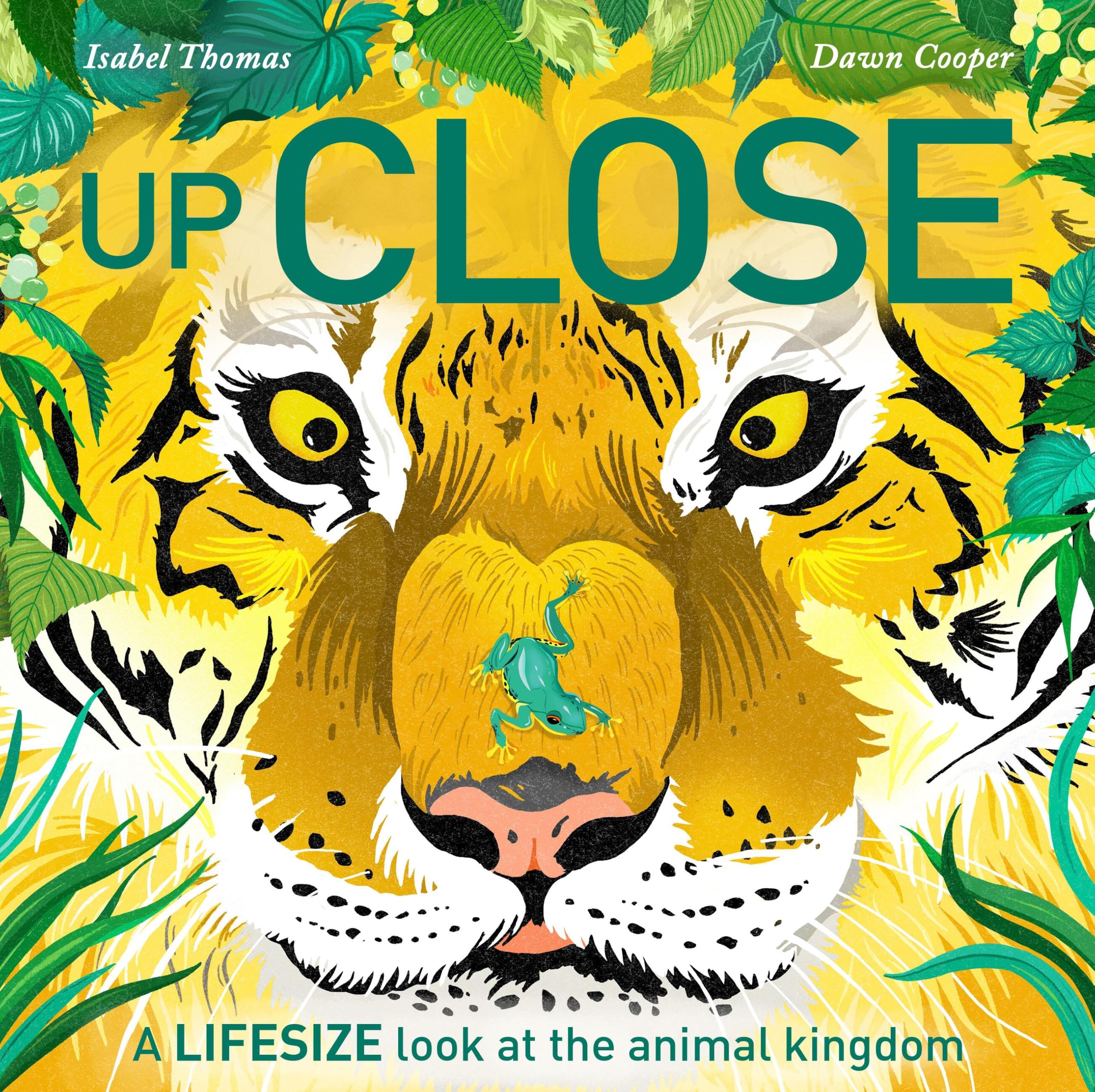 Up Close: A life-size look at the animal kingdom Non-fiction