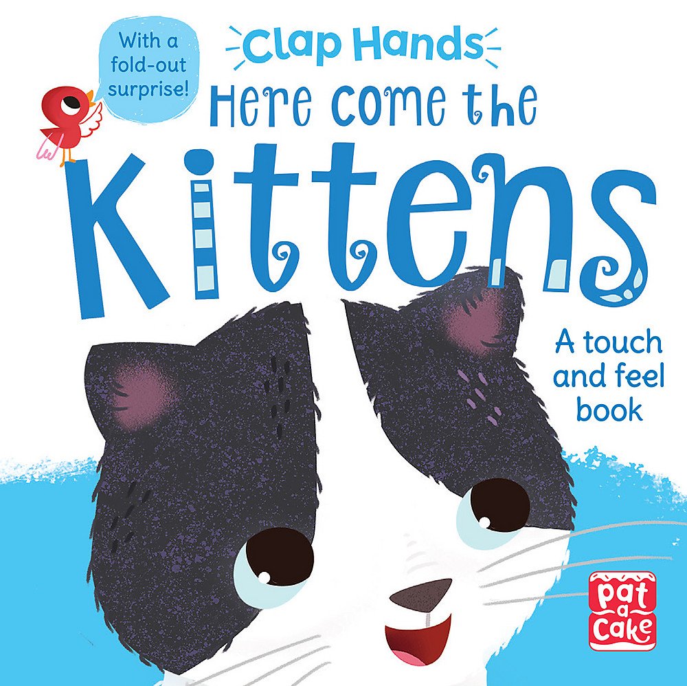 Clap Hands: Here Come the Kittens: A touch-and-feel board book with a fold-out surprise Parents & Children