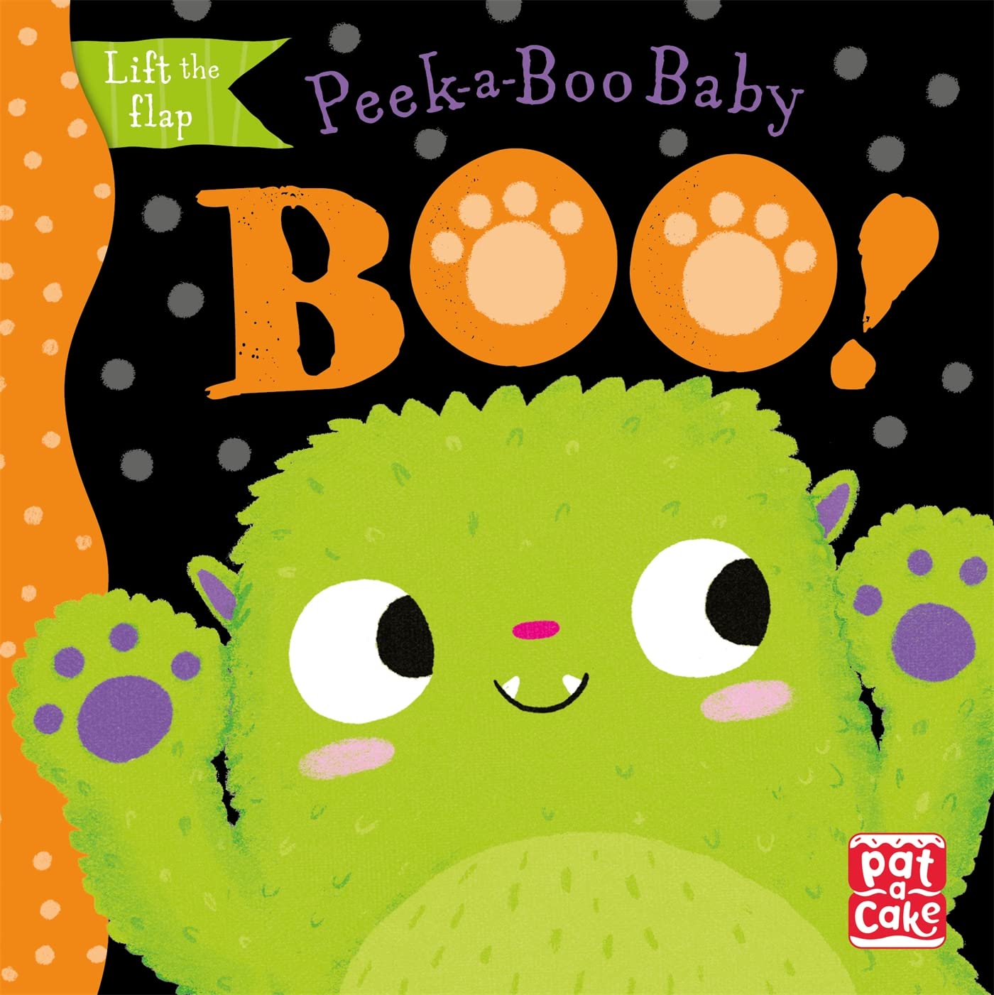 Peek-a-Boo Baby: Boo Non-fiction