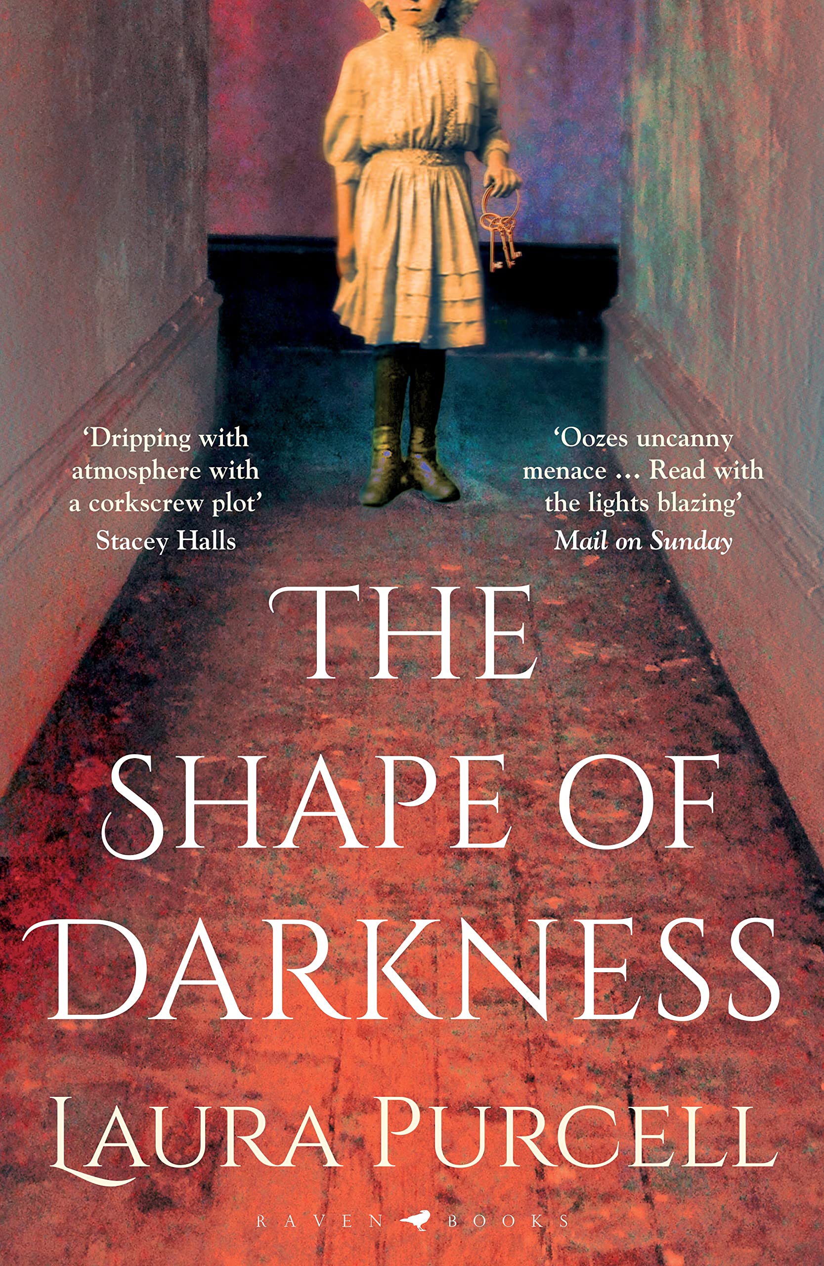 The Shape of Darkness Contemporary literature