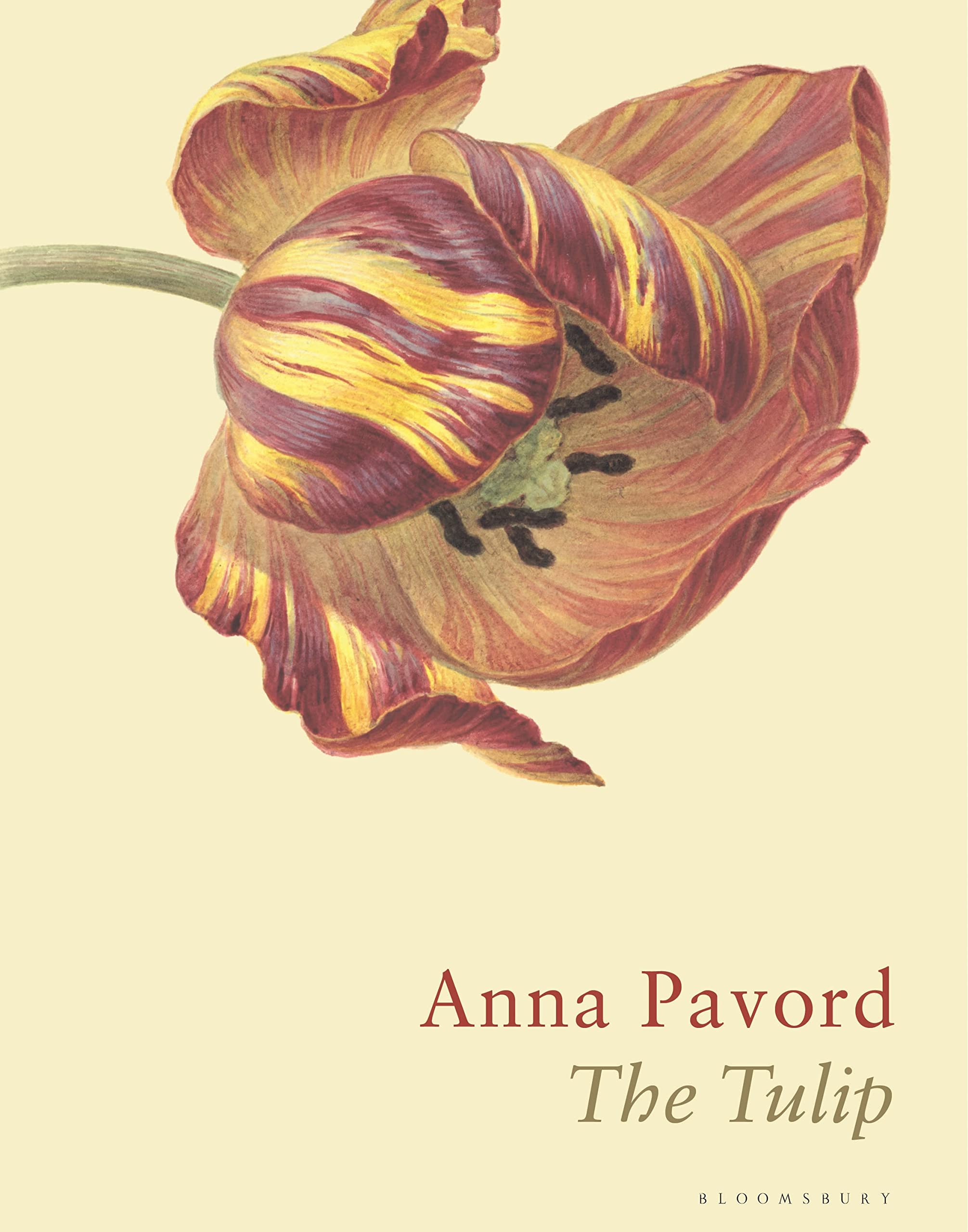 The Tulip: The Story of a Flower That Has Made Men Mad Books
