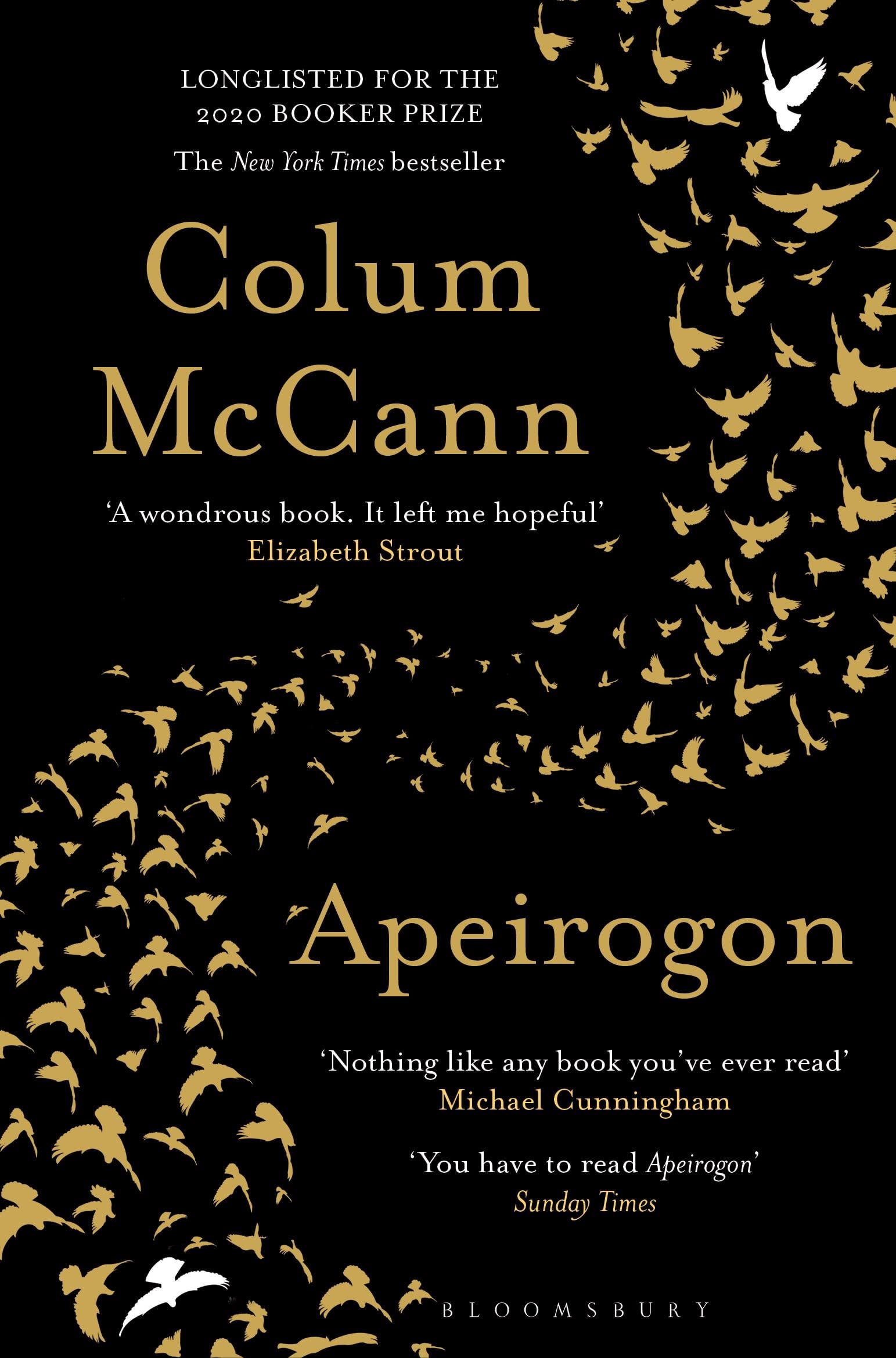Apeirogon: a novel about Israel, Palestine and shared grief, nominated for the 2020 Booker Prize Contemporary literature