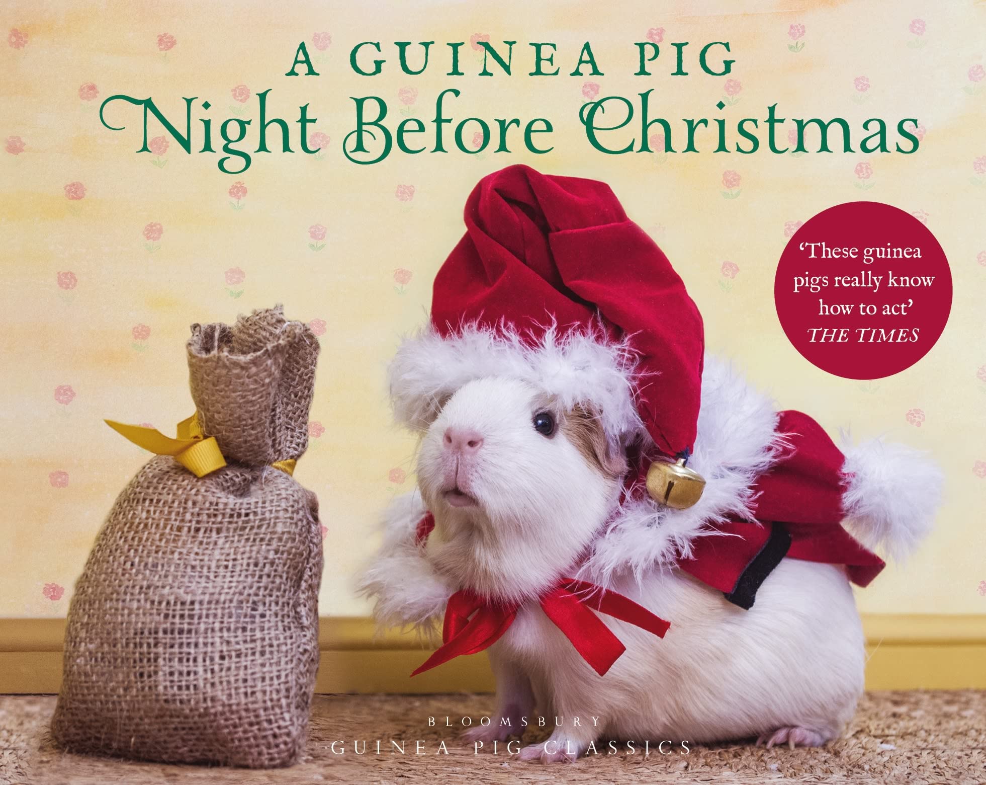 A Guinea Pig Night Before Christmas (Guinea Pig Classics) Poetry