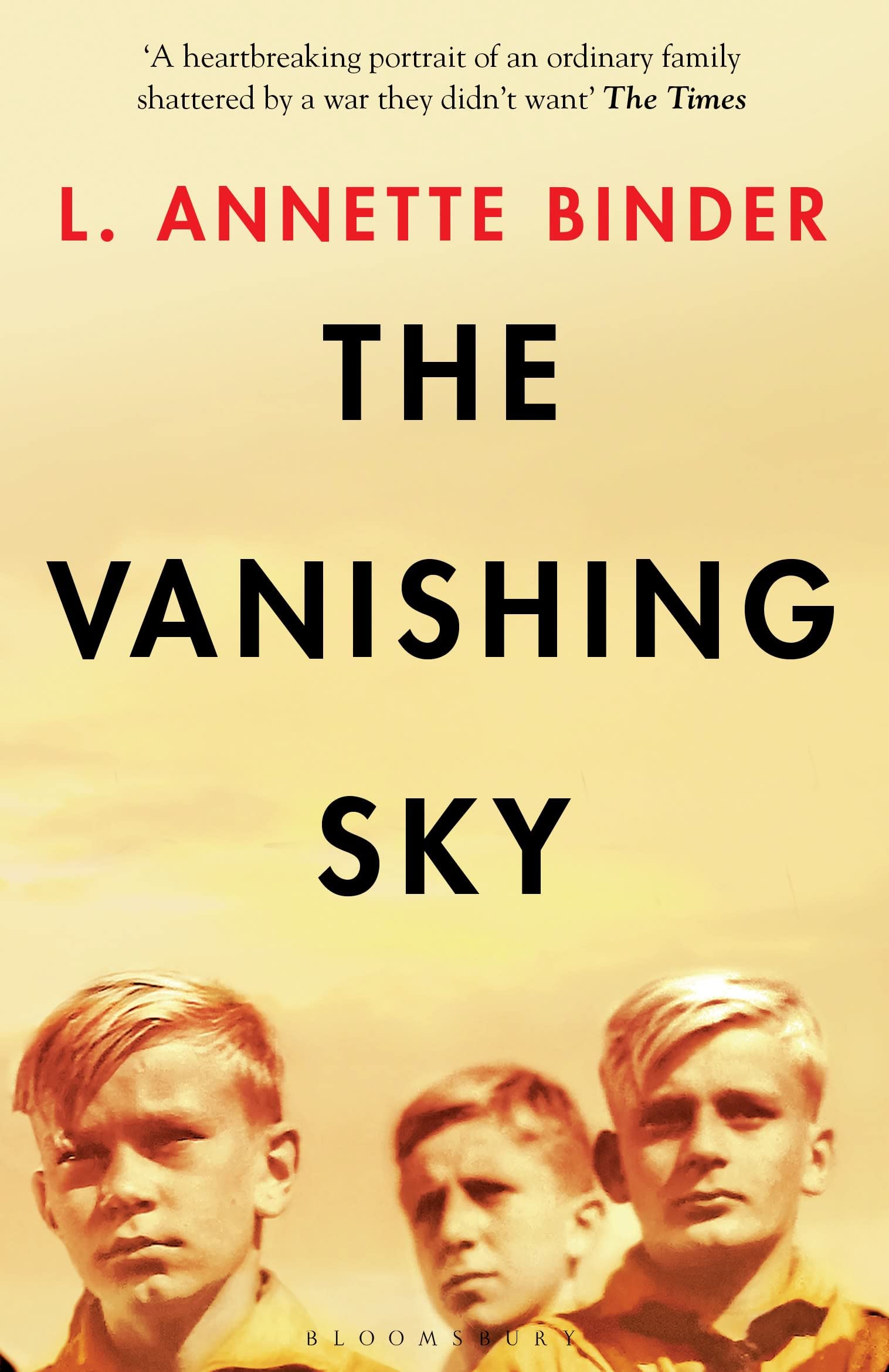 Product Image: The Vanishing Sky